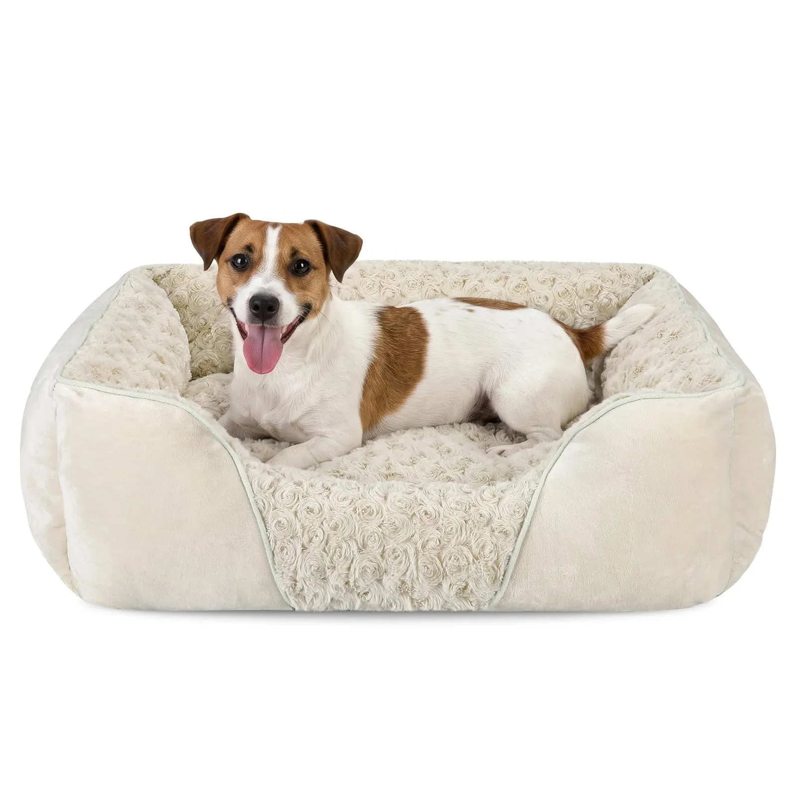 JOEJOY Cuccia Cane Interno Lavabile, 63x53x20cm - immagine 1
