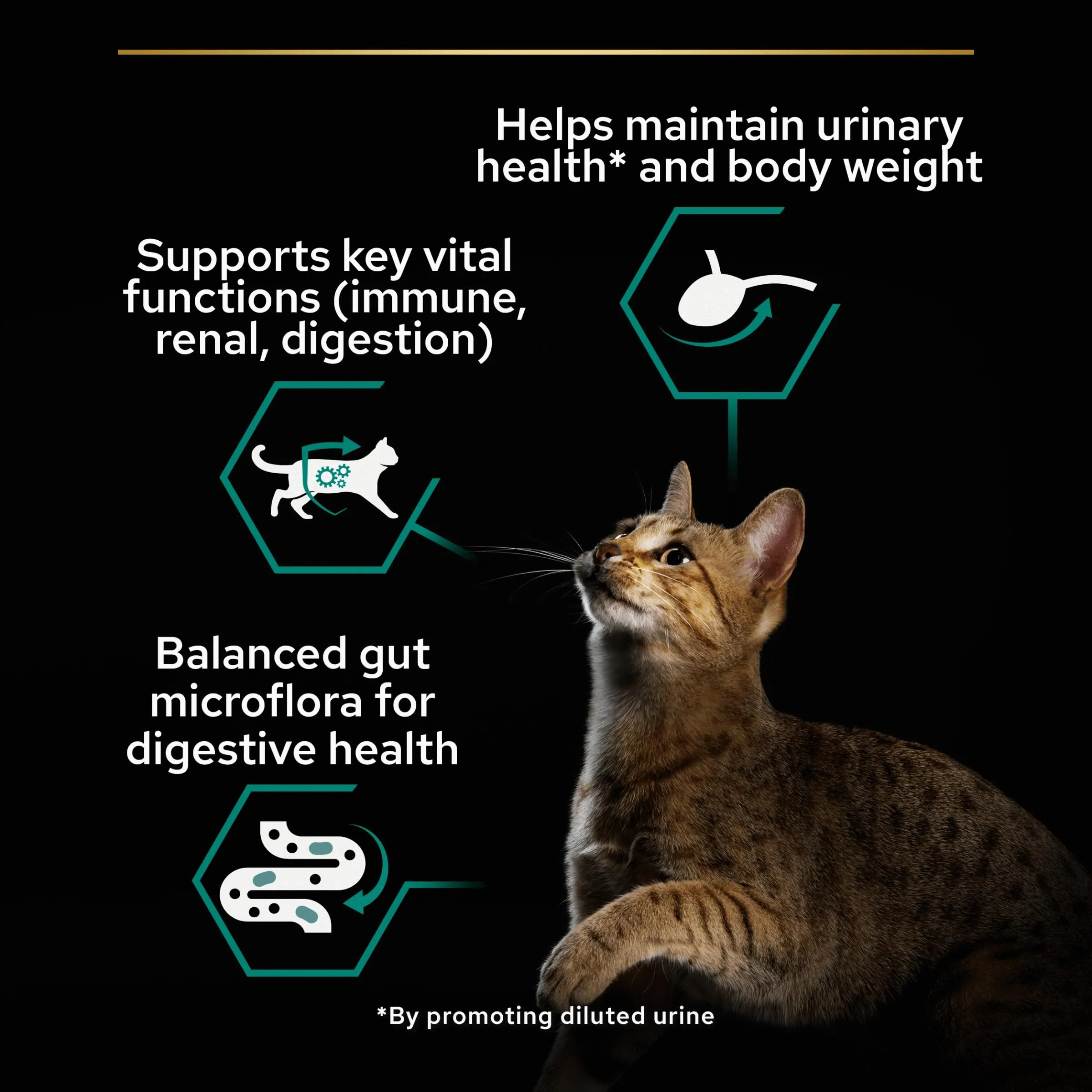 Purina Pro Plan Sterilised 7+ Senior Tacchino, Patè in Salsa per Gatti, 4x85 g - immagine 6
