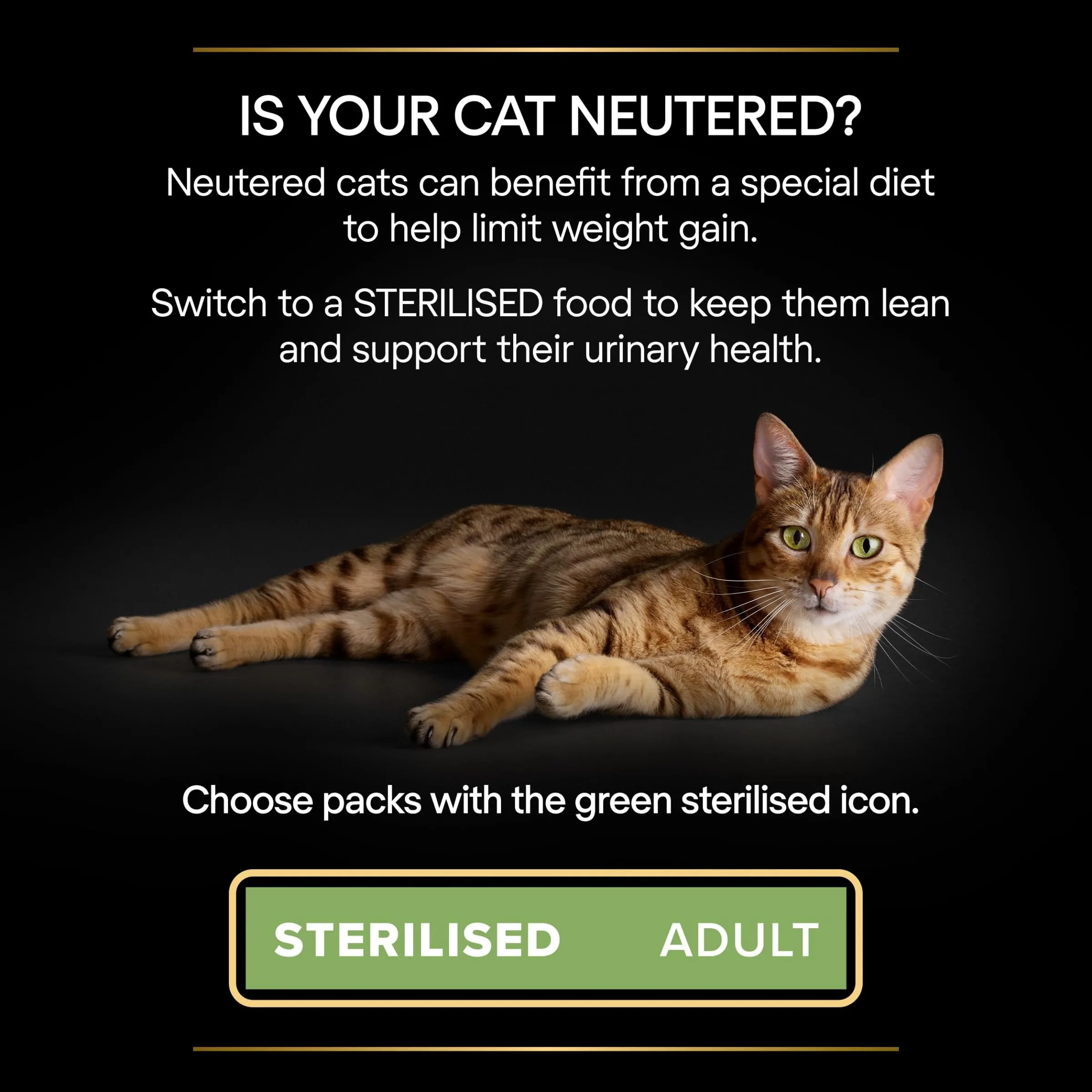 Purina Pro Plan Sterilised 7+ Senior Tacchino, Patè in Salsa per Gatti, 4x85 g - immagine 9