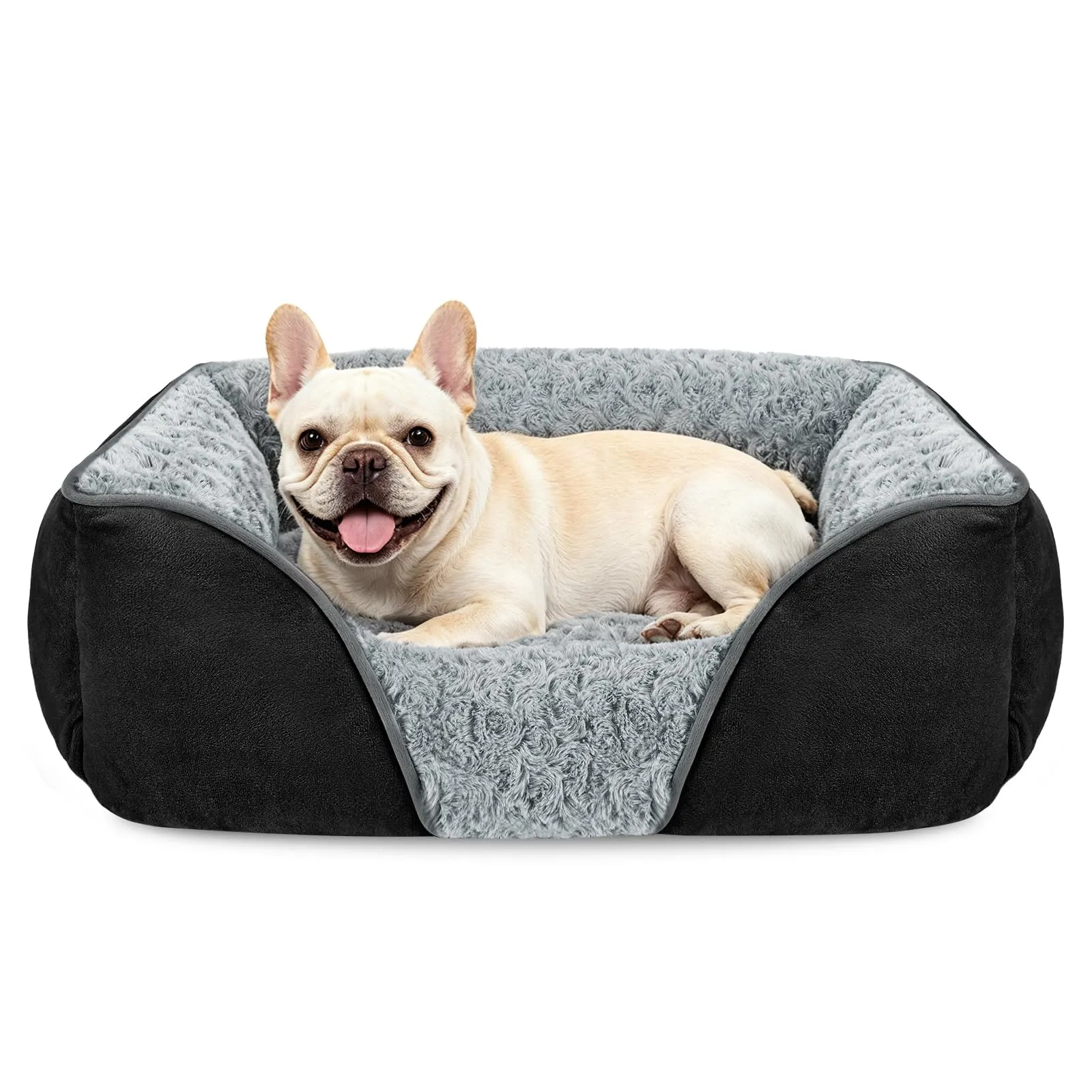 JOEJOY Cuccia Cane Interno Lavabile, 51x48x15cm - immagine 1