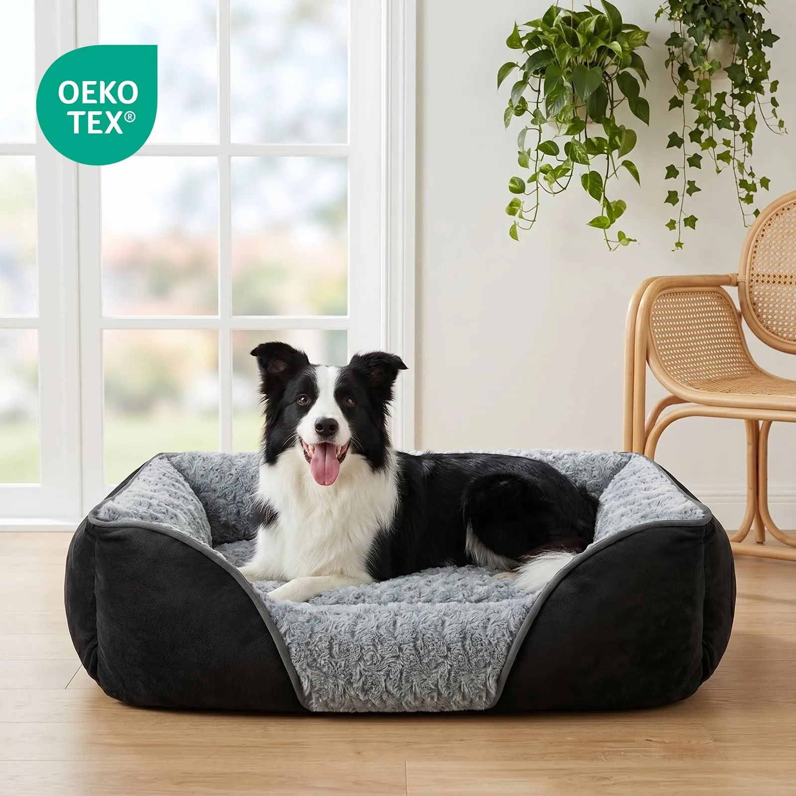 JOEJOY Cuccia Cane Interno Lavabile, 76x61x23cm - immagine 8