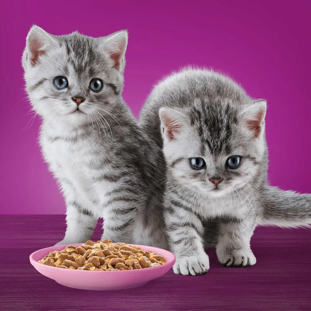 Whiskas Pure Delight Tenere Delicatezze Junior, Cibo Umido per Gatto, 52 Bustine da 85g - immagine 2