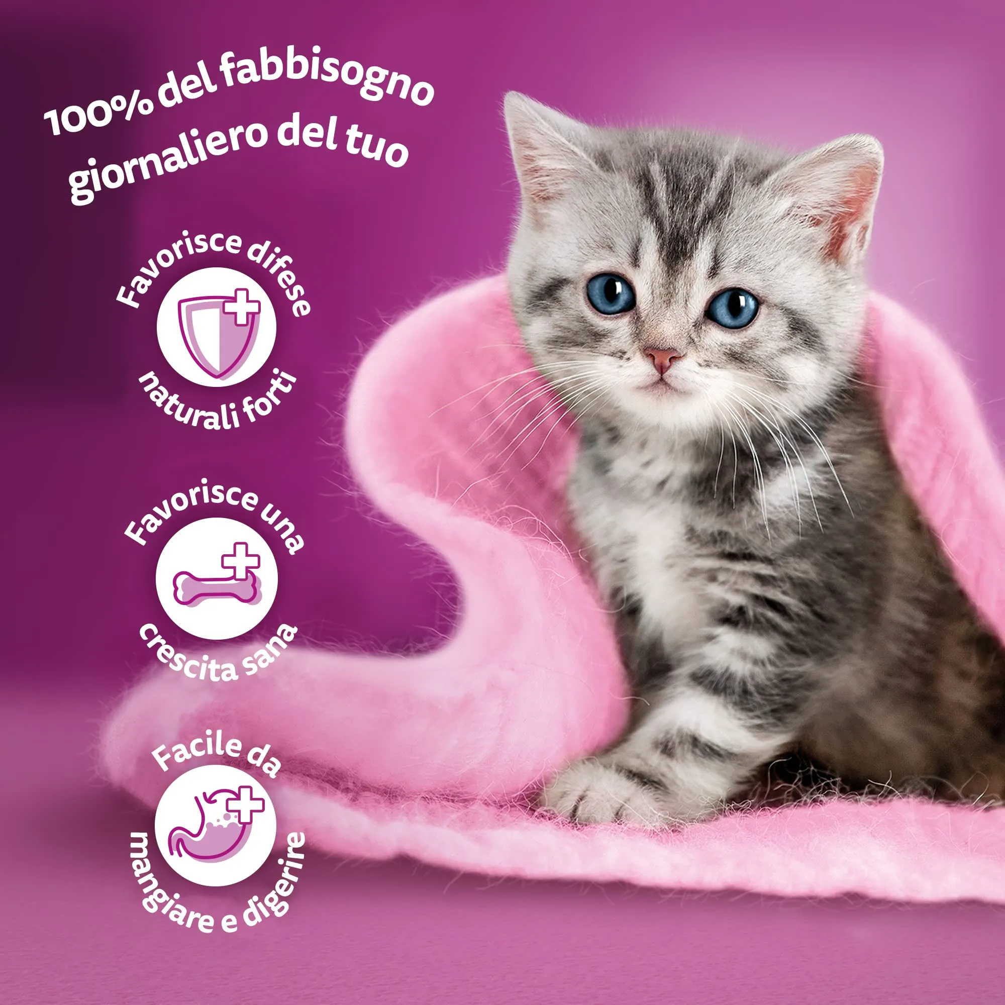 Whiskas Pure Delight Tenere Delicatezze Junior, Cibo Umido per Gatto, 52 Bustine da 85g - immagine 3