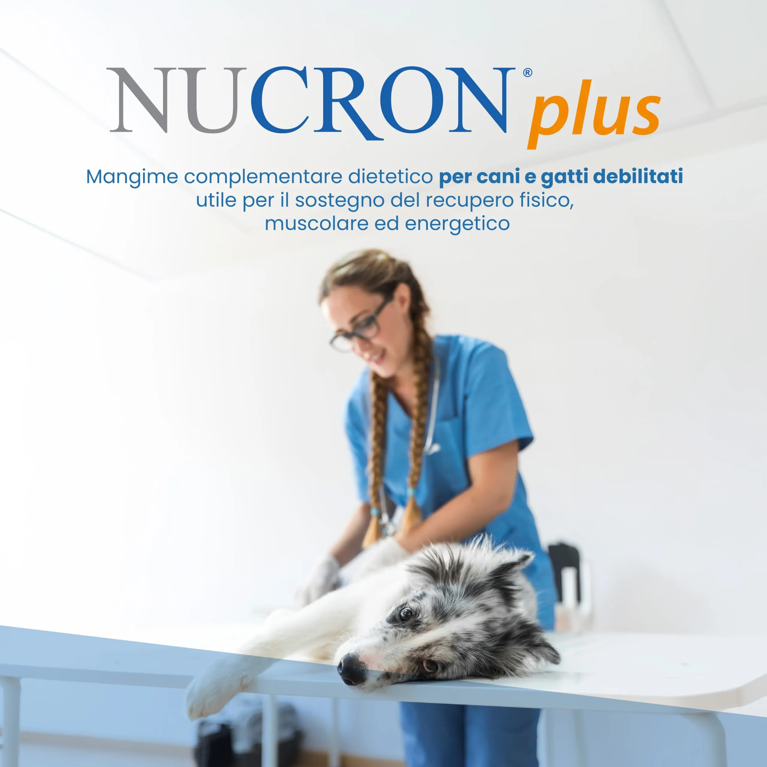 Aurora Biofarma Nucron Plus Mangime Complementare per Gatti e Cani Piccoli, 14 Stick da 6g - immagine 2