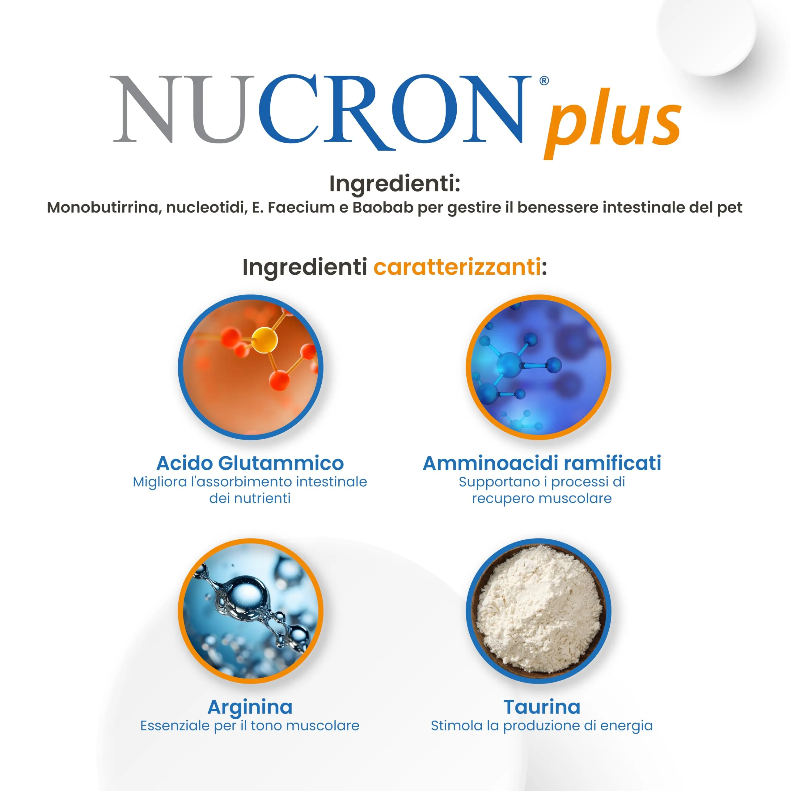 Aurora Biofarma Nucron Plus Mangime Complementare per Gatti e Cani Piccoli, 14 Stick da 6g - immagine 5