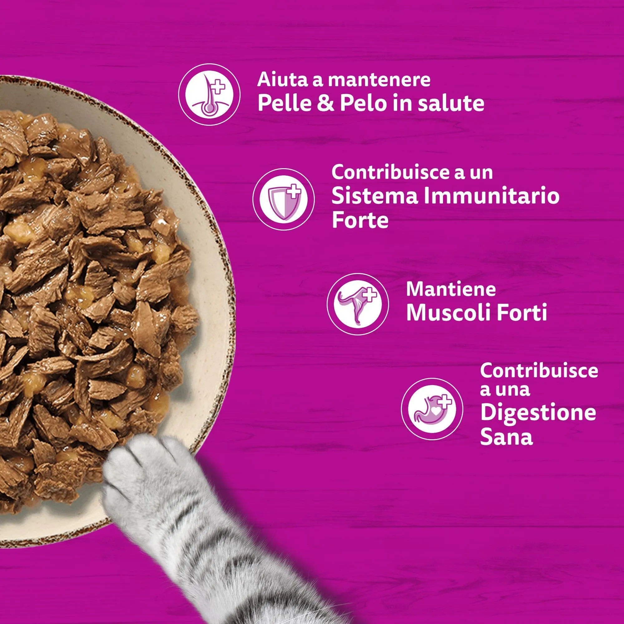 Whiskas Pure Delight Cibo Umido in Gelatina per Gatti Adulti Selezione Delicata 4x85g, confezione da 13 - immagine 5