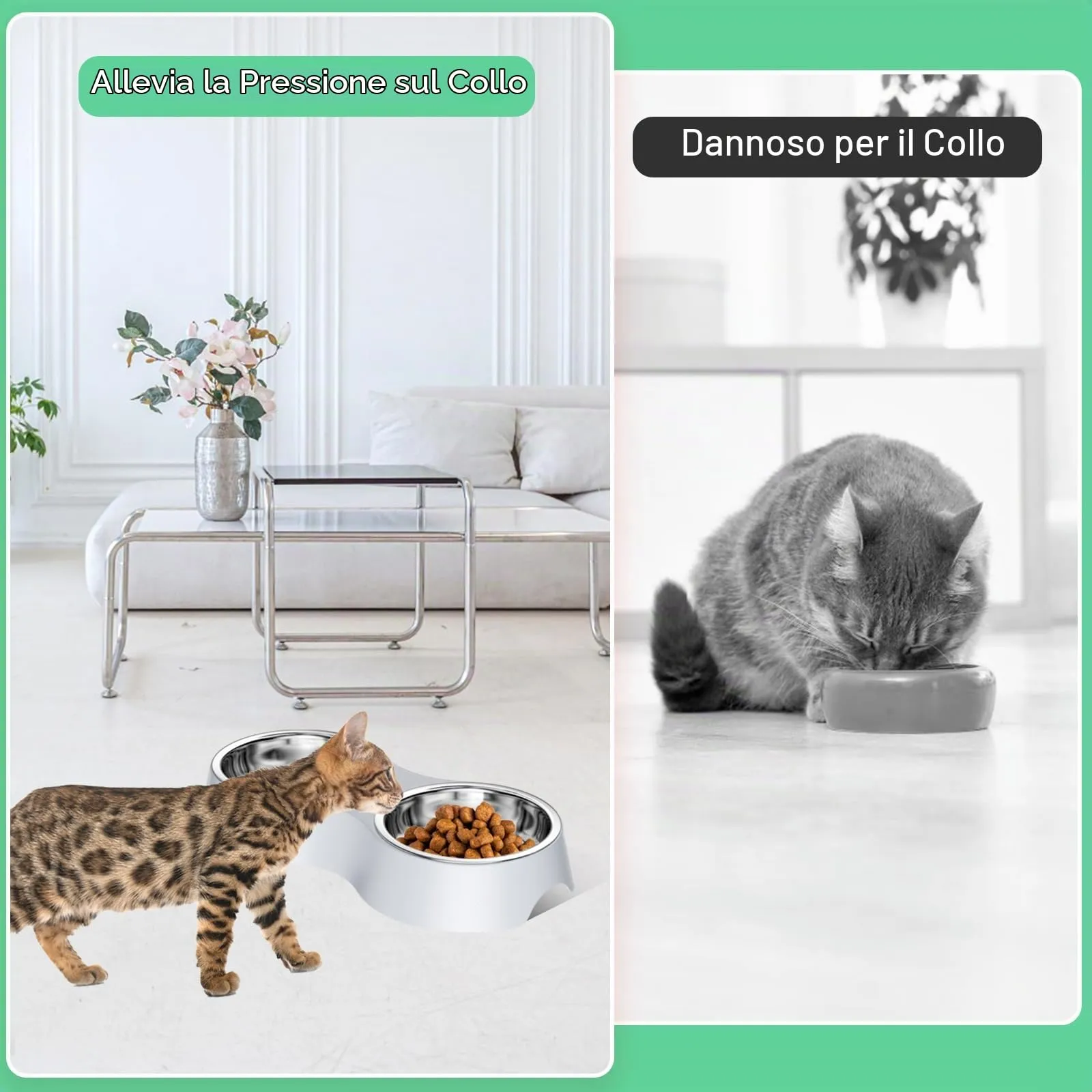 Luazvilkpsar Set di 2 Ciotole per Cani e Gatti, Grigio - immagine 6