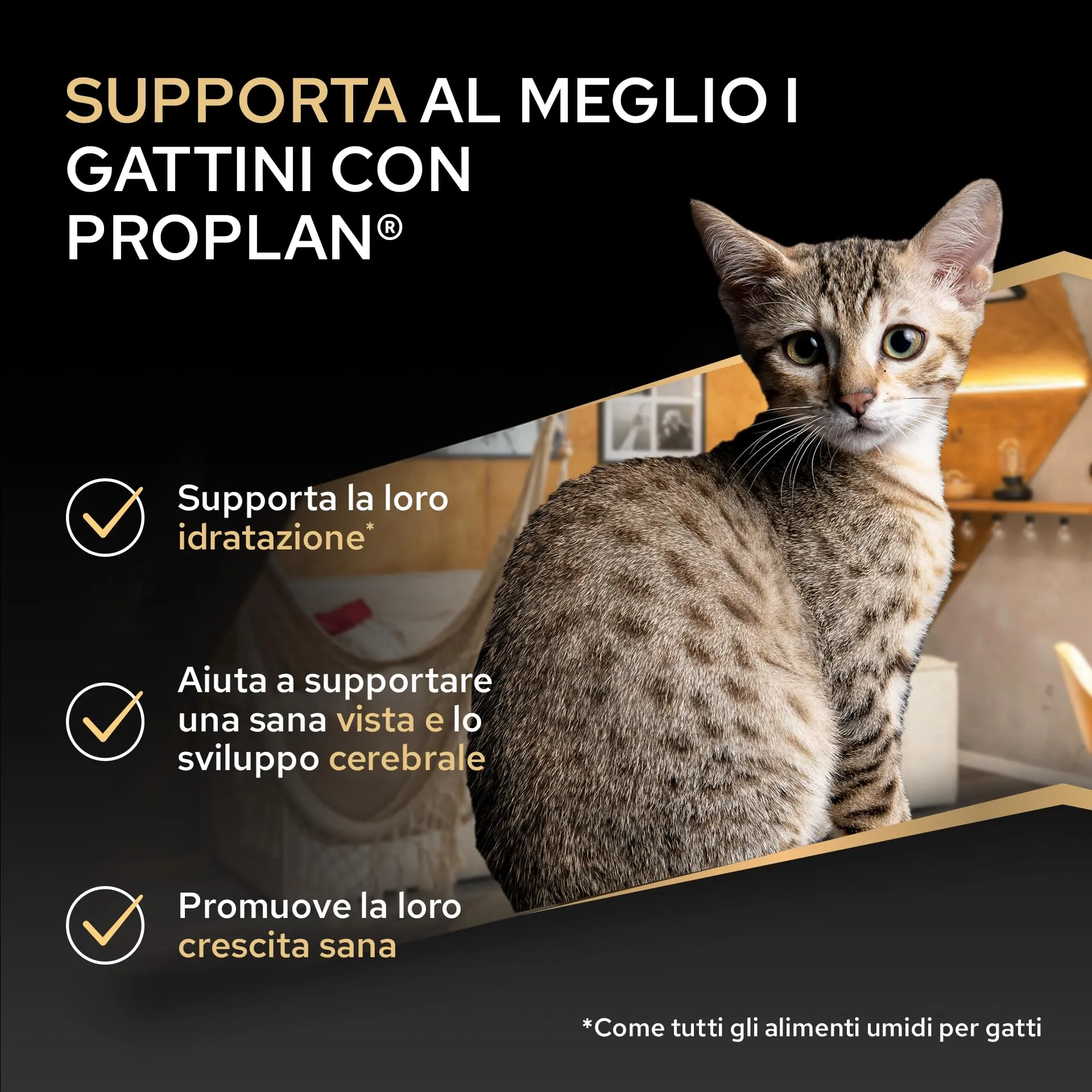 Purina Pro Plan Kitten Cibo Umido Pezzettini in Salsa Tacchino, 40 Bustine da 85g - immagine 2