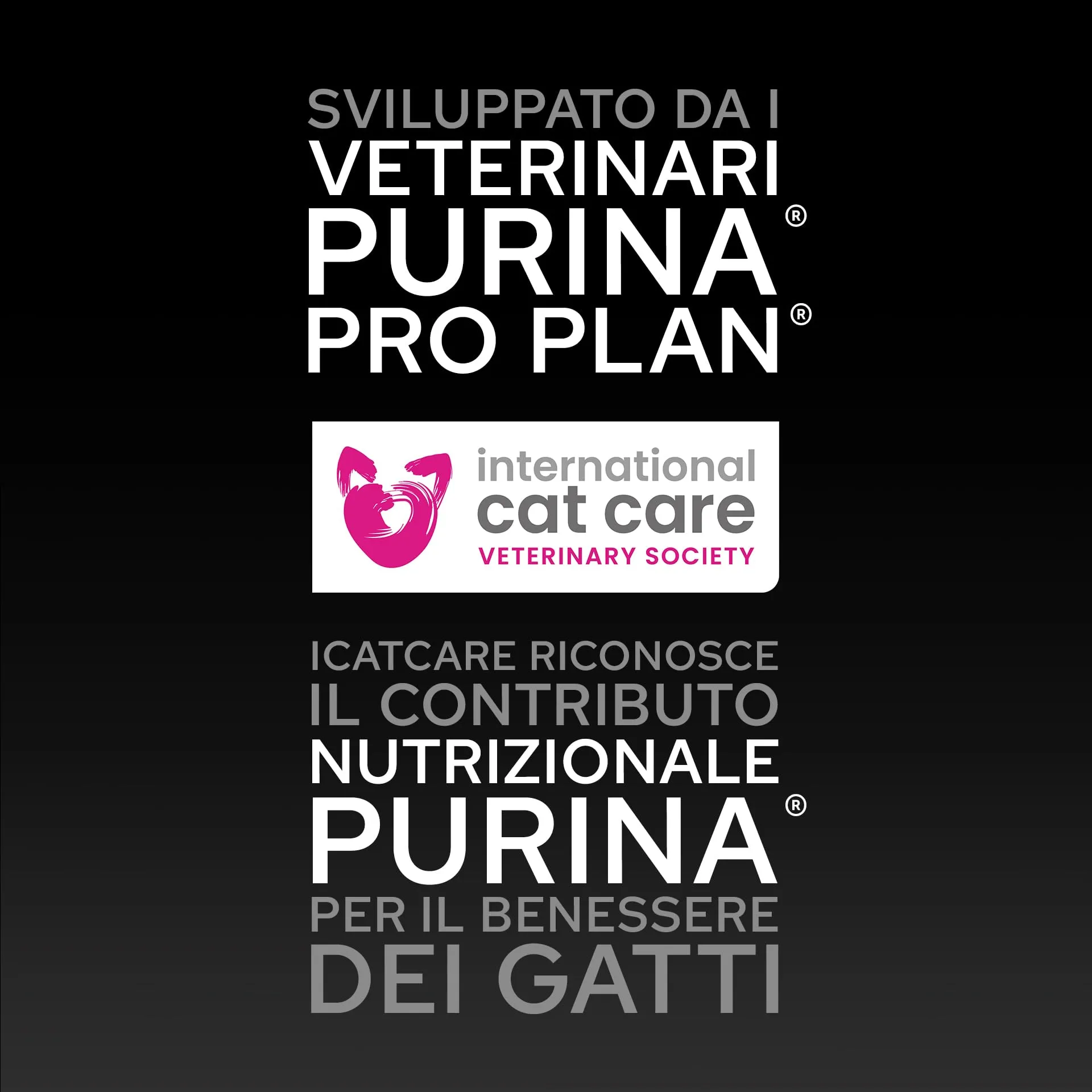 Purina Pro Plan Kitten Cibo Umido Pezzettini in Salsa Tacchino, 40 Bustine da 85g - immagine 5