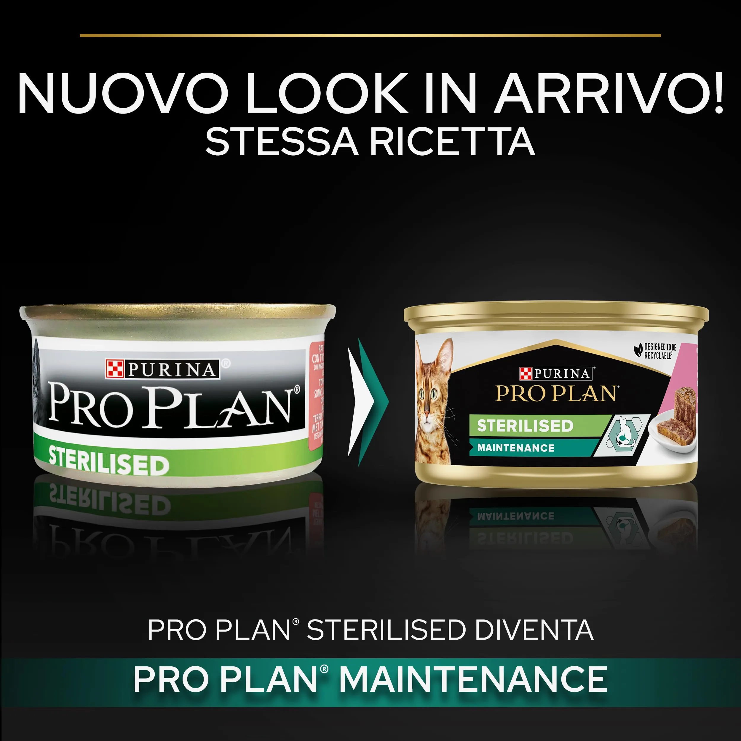 Purina Pro Plan Sterilised Patè Umido Gatto con Salmone e Tonno, 24 Lattine da 85g - immagine 2
