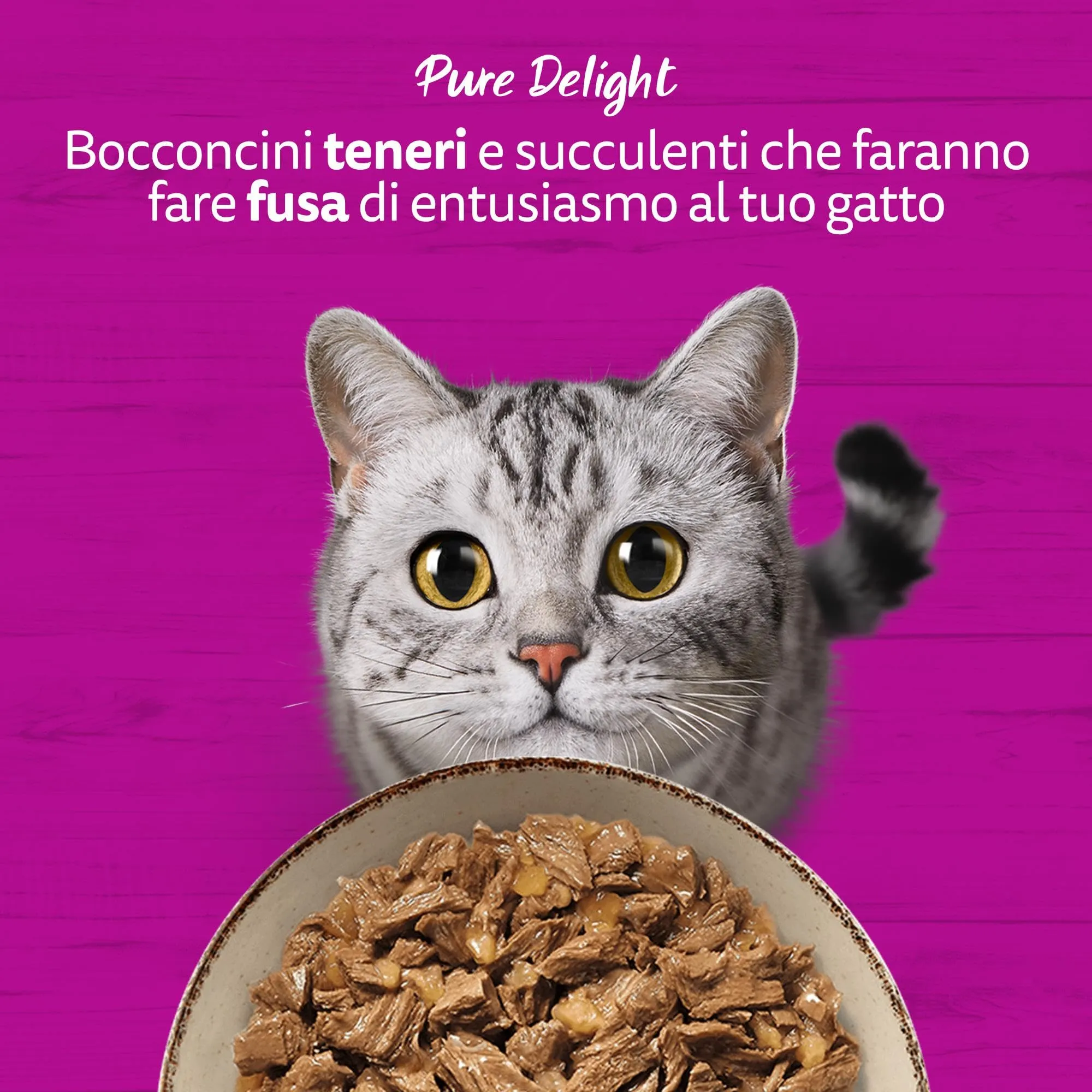 Whiskas Pure Delight Menù Assortito 1+ Anni, Cibo Umido per Gatto, 52 Bustine da 85g - immagine 7