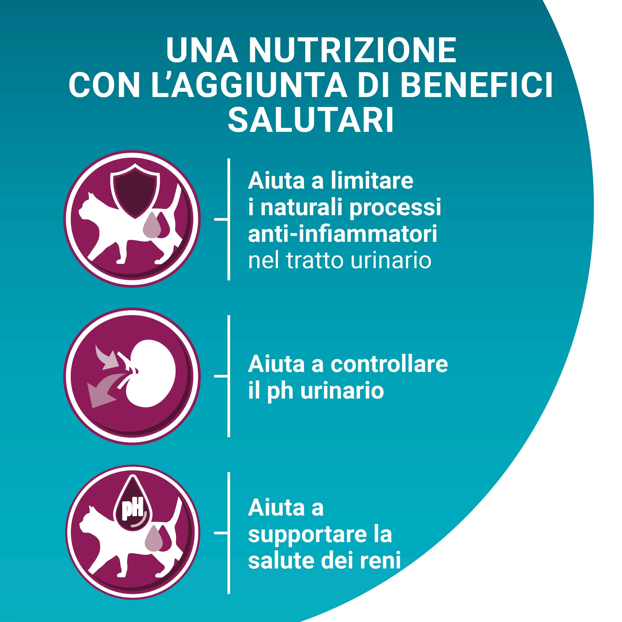 Purina ONE Bifensis Urinary Health Crocchette Gatti Adulti, 8 x 800g - immagine 6
