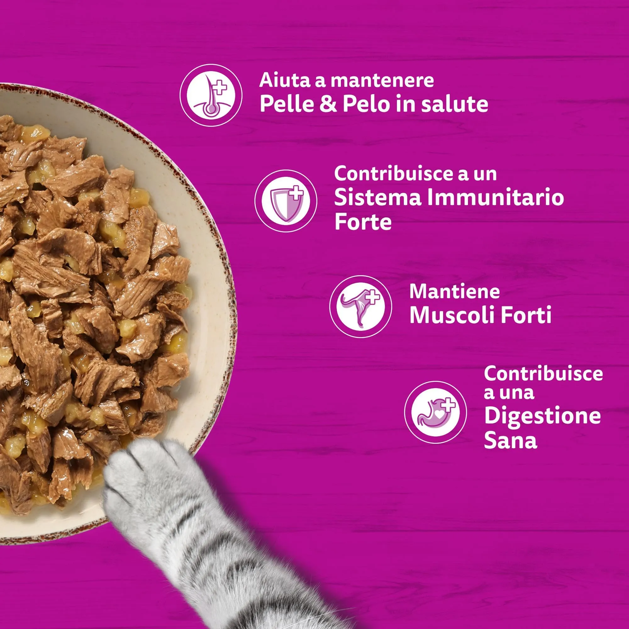 Whiskas Pure Delight Cibo Umido in Gelatina per Gatti Adulti, Bocconcini di Pesce, 4x85g, Confezione da 13 - immagine 5