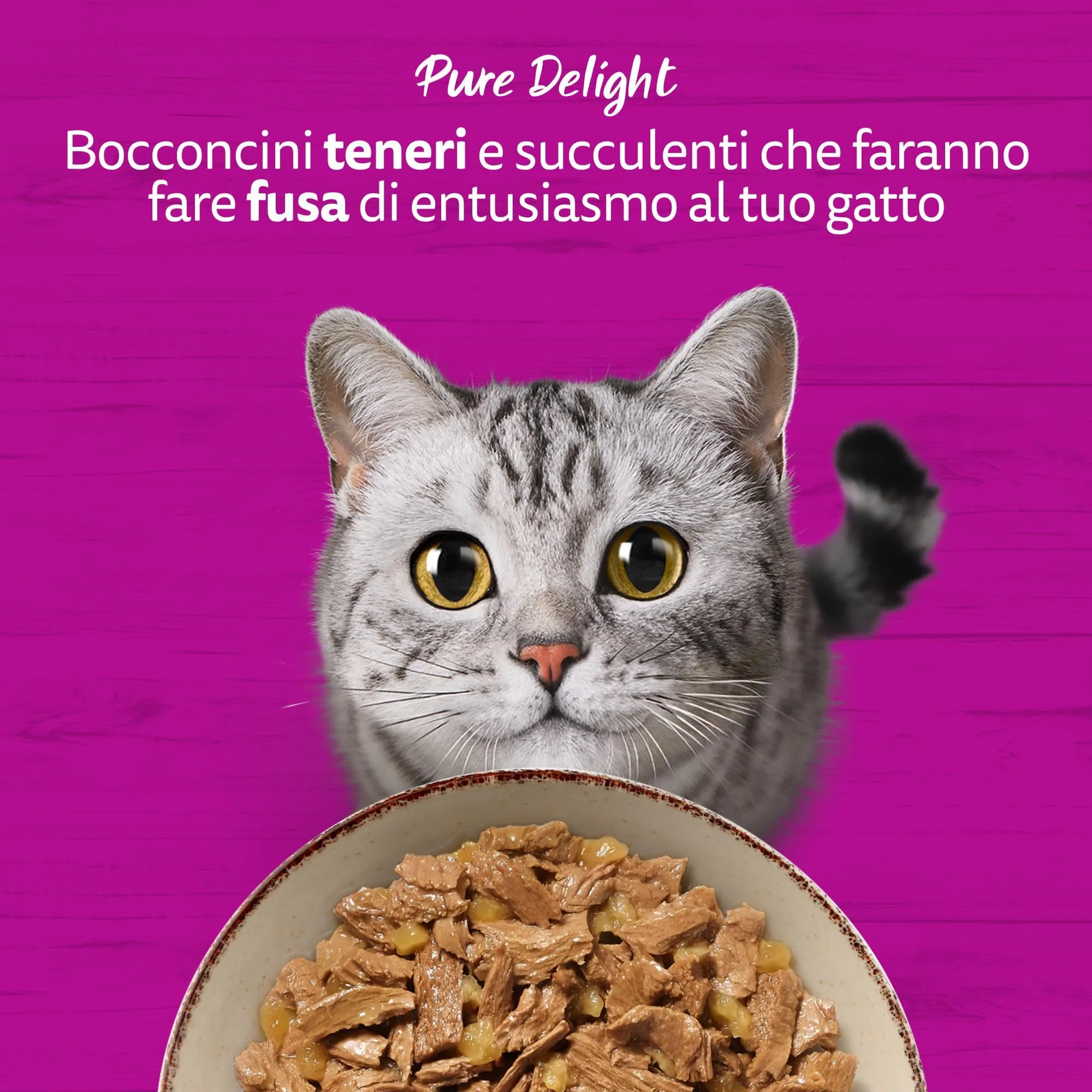 Whiskas Pure Delight Cibo Umido in Gelatina per Gatti Adulti, Bocconcini di Pesce, 4x85g, Confezione da 13 - immagine 7