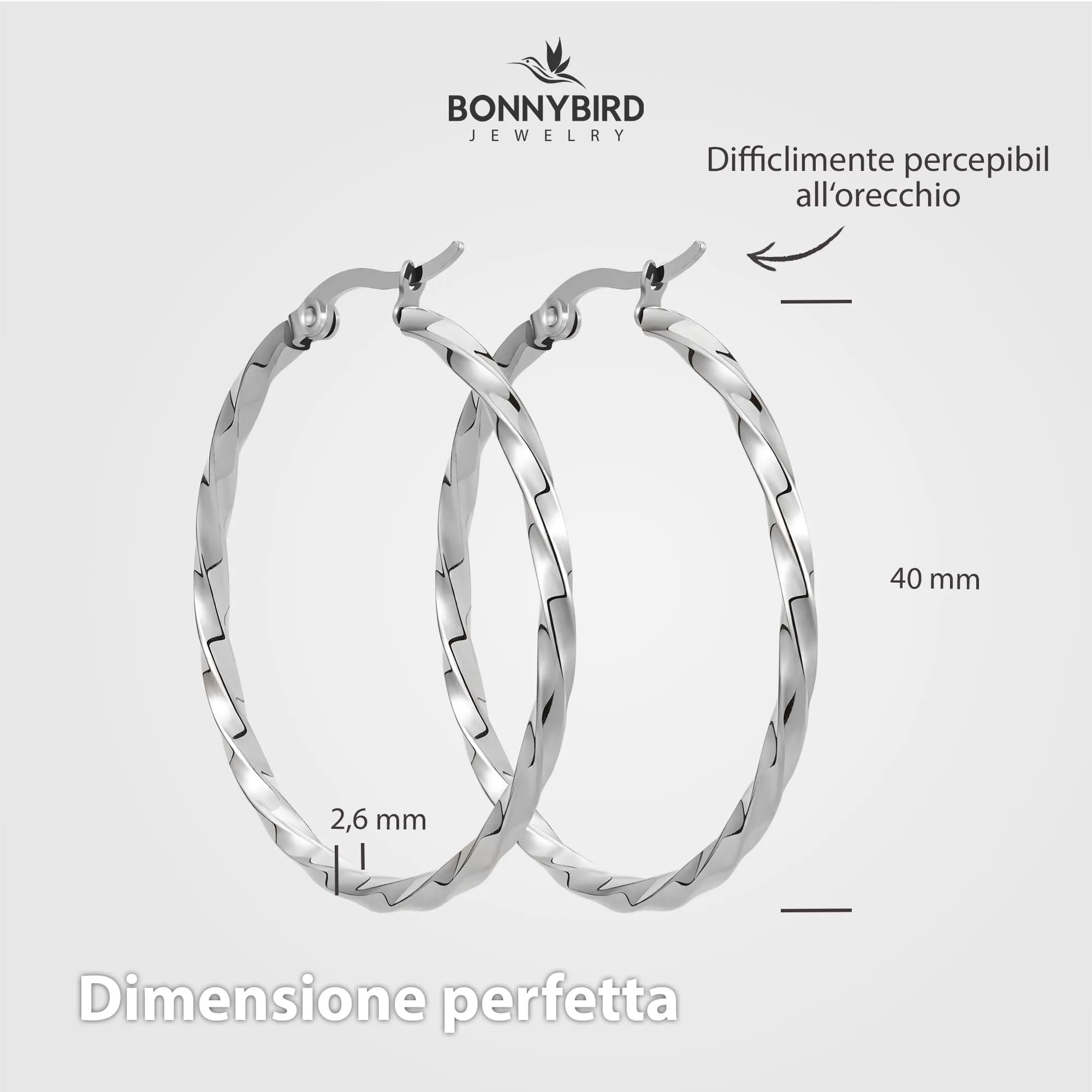 BONNYBIRD Orecchini a Cerchio Grandi in Acciaio Inossidabile Argento - immagine 5