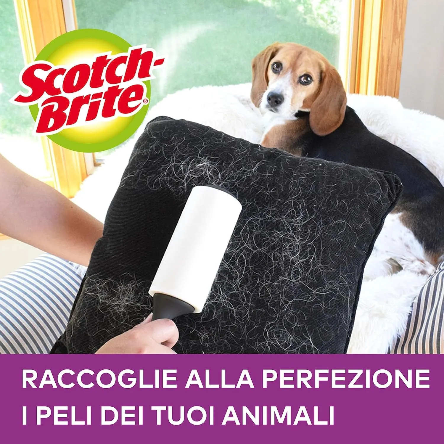 Scotch-Brite Ricariche Levapelucchi Everyday Clean per Abiti, 3 x 56 Fogli - immagine 4