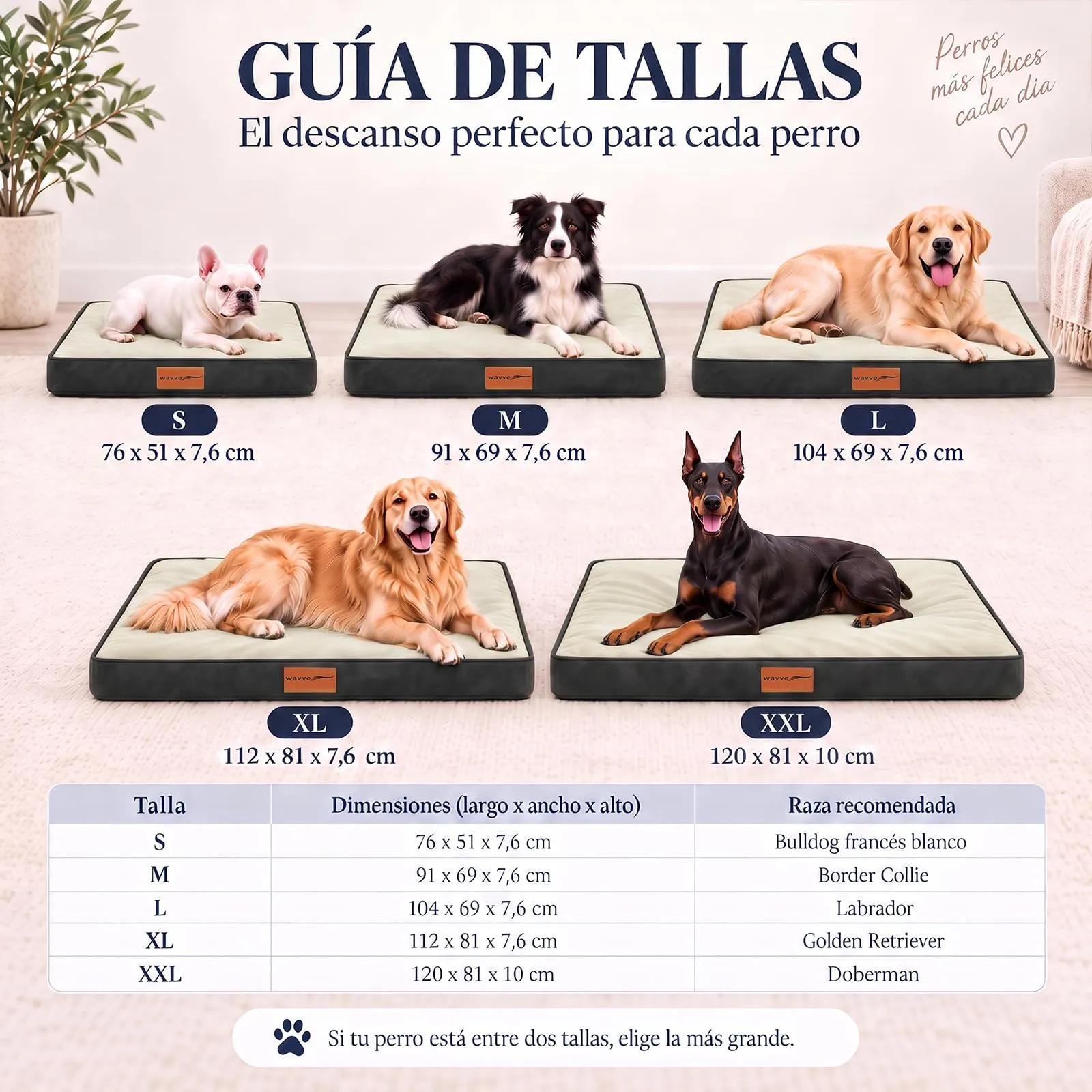 WAVVE Cuccia Cane Interno, 120x81x10 cm, Blu Navy - immagine 6