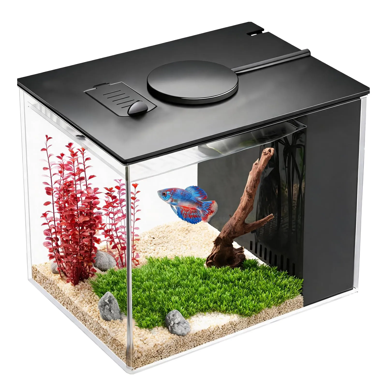 YNNHUDEEP Set Completo per Acquario con Filtro Laterale, Pompa e Illuminazione LED, 20x15x15cm - immagine 1