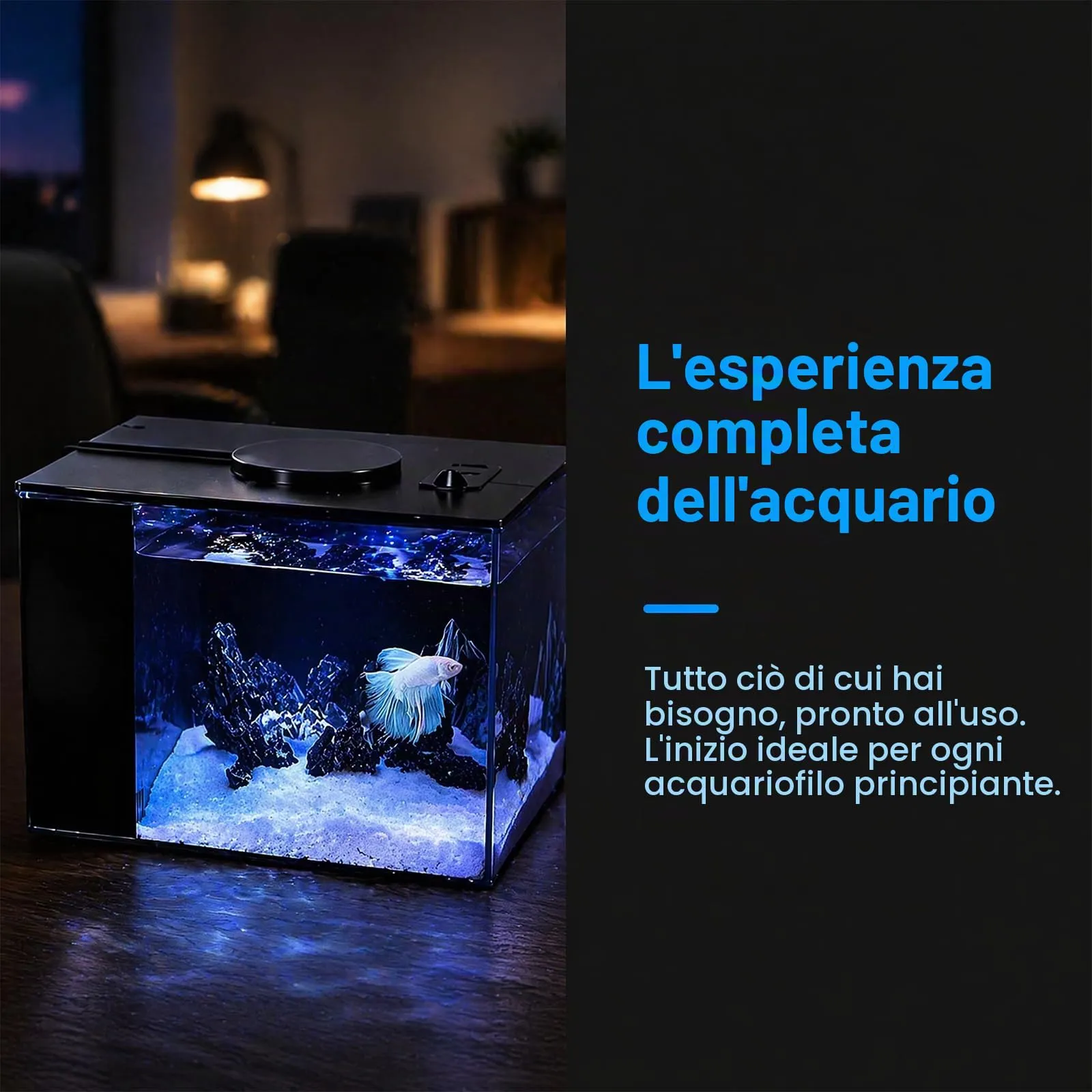 Keltorio Set Completo Acquario 4,65 L con Pompa Filtro e Illuminazione LED, 200 x 150 x 155 mm - immagine 5
