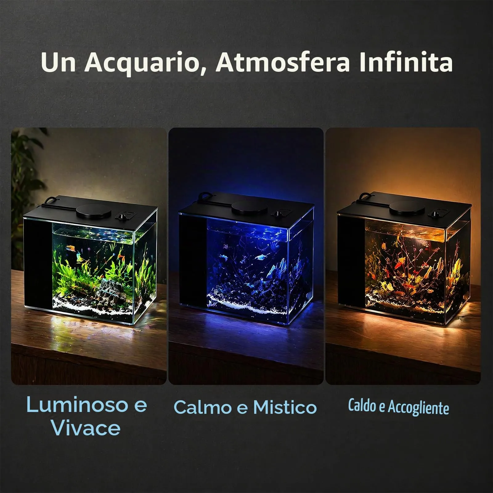 Keltorio Set Completo Acquario 4,65 L con Pompa Filtro e Illuminazione LED, 200 x 150 x 155 mm - immagine 6