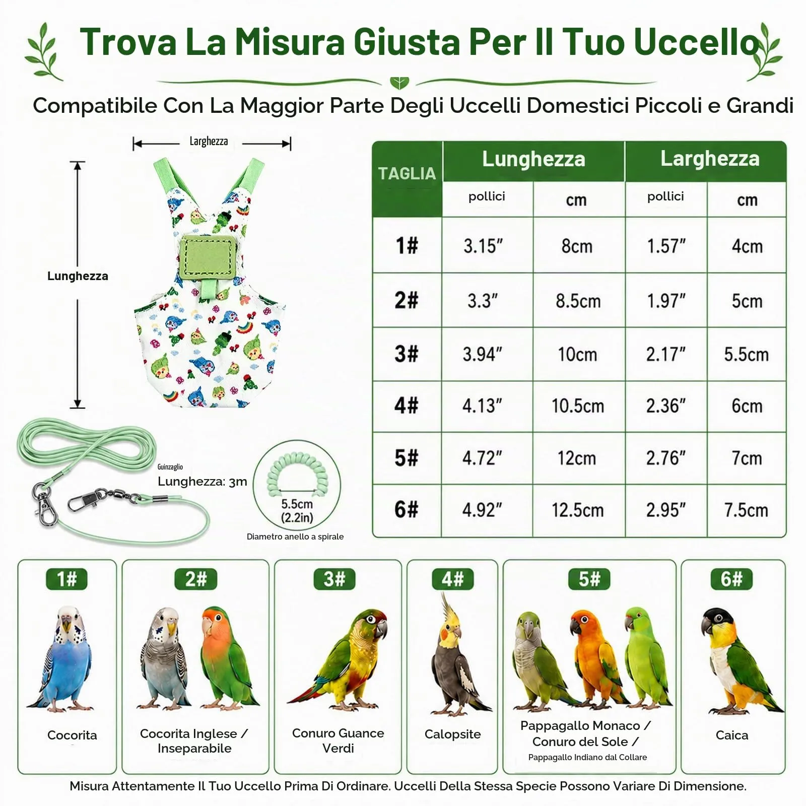 Beyinkoy Pettorina e Guinzaglio per Pappagalli, Gilet da Volo Leggero, 3 m, Taglia 1#, Verde - immagine 4
