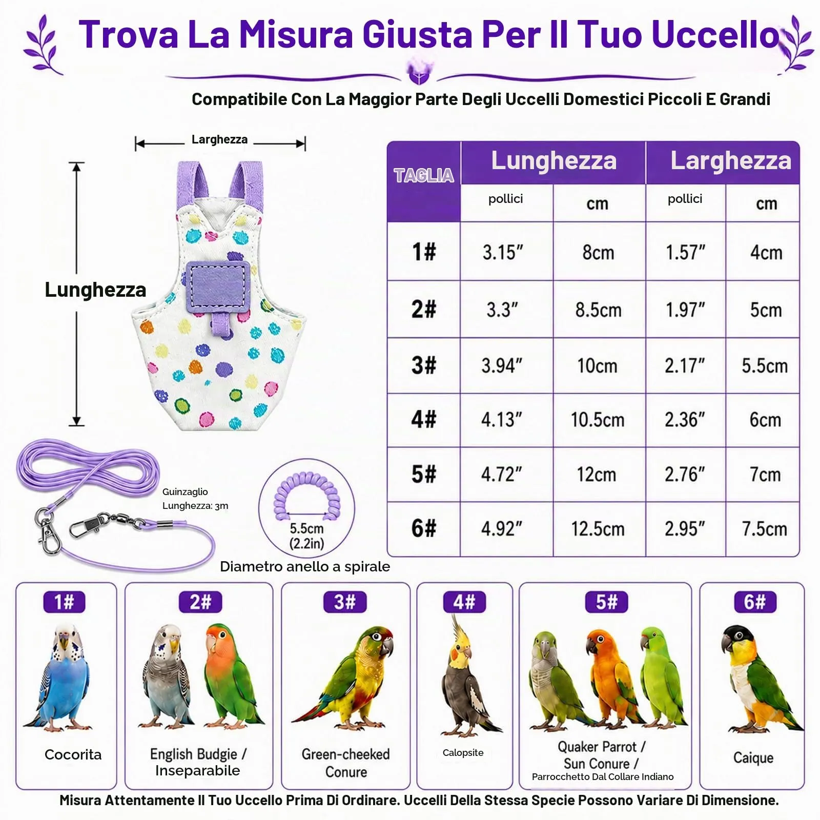 Beyinkoy Pettorina e Guinzaglio per Pappagalli, Gilet da Volo Leggero, 3m, Taglia 2# - immagine 4
