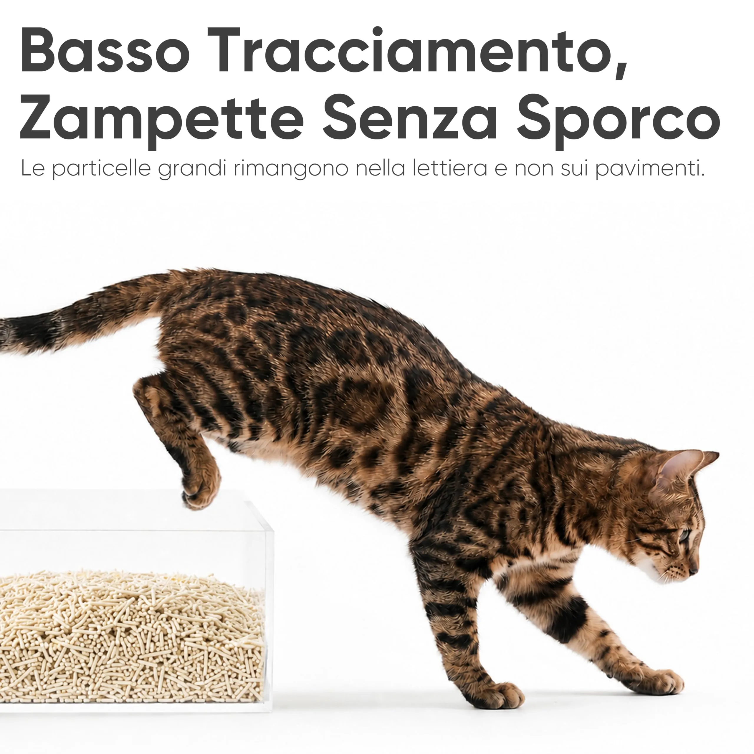 FUKUMARU Lettiera per Gatti al Tofu, 10.8kg / 24L, Senza Profumo, Agglomerante, Pellet Vegetali Naturali - immagine 5