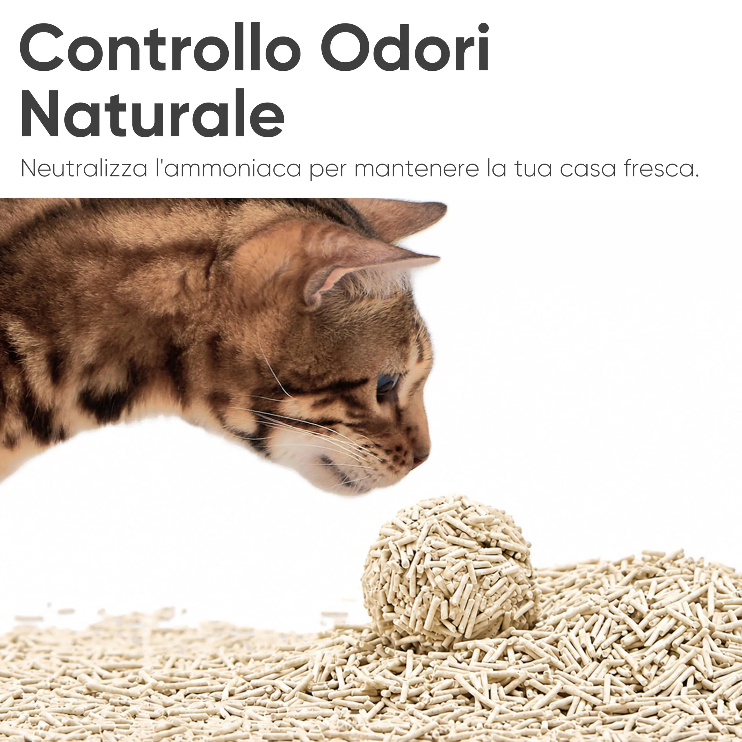 FUKUMARU Lettiera per Gatti al Tofu, 10.8kg / 24L, Senza Profumo, Agglomerante, Pellet Vegetali Naturali - immagine 8