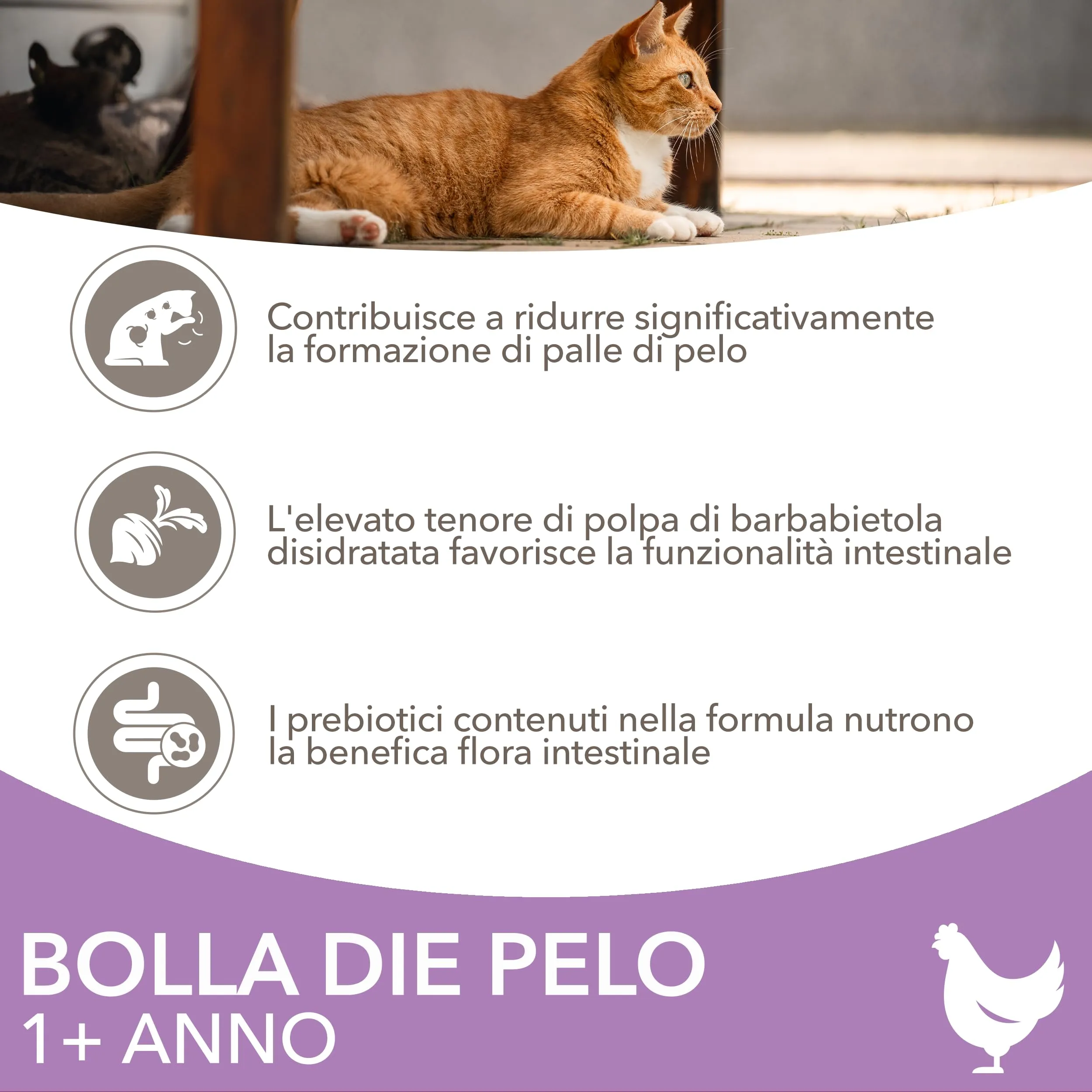 IAMS Anti-Hairball Cibo secco per gatti, 10 kg - immagine 3