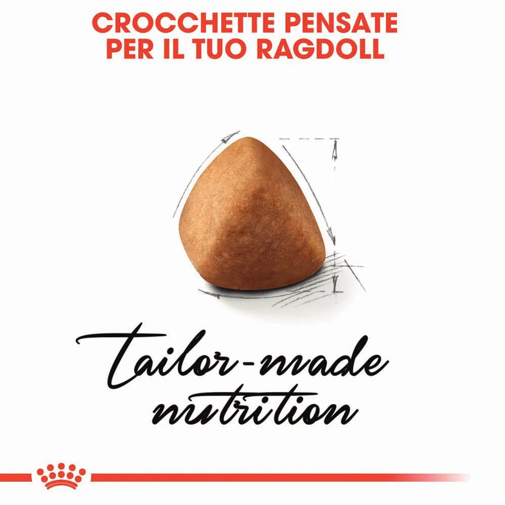 Royal Canin Ragdoll Adult Cibo secco per gatti, 2kg - immagine 4