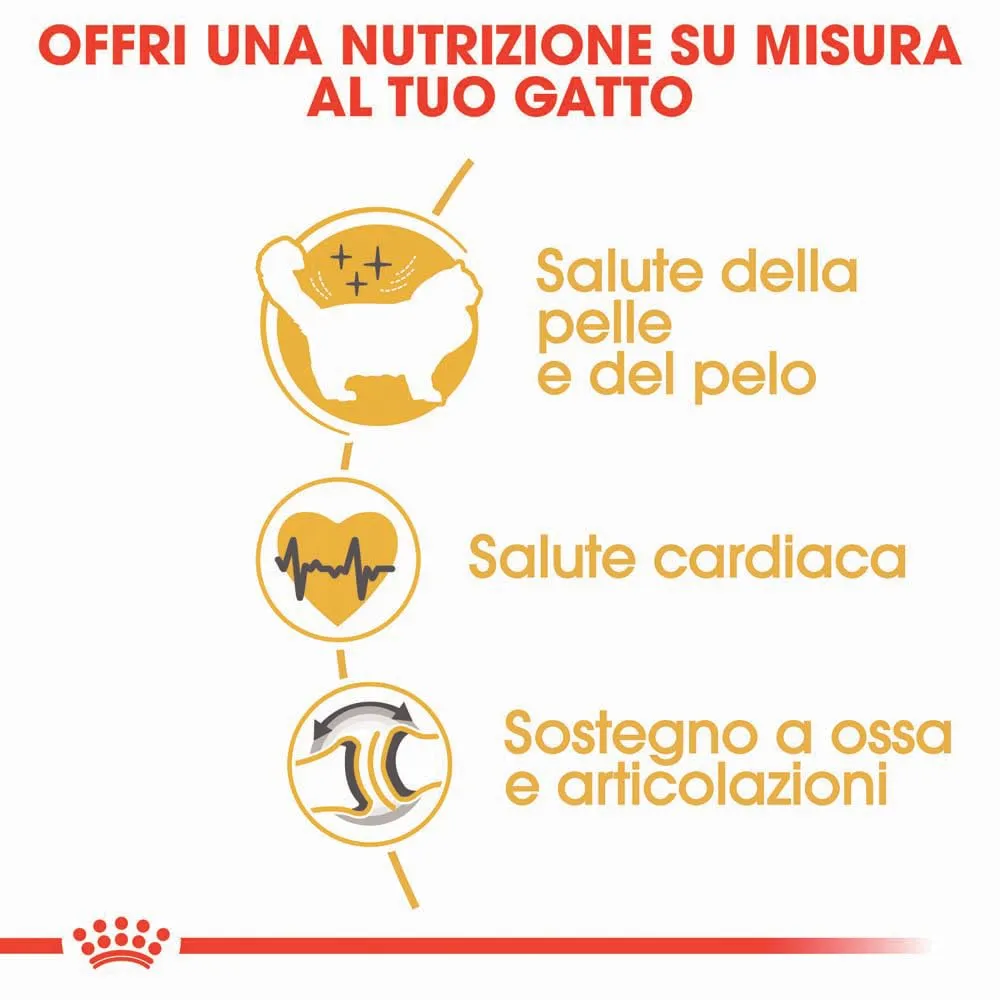 Royal Canin Ragdoll Adult Cibo secco per gatti, 2kg - immagine 5