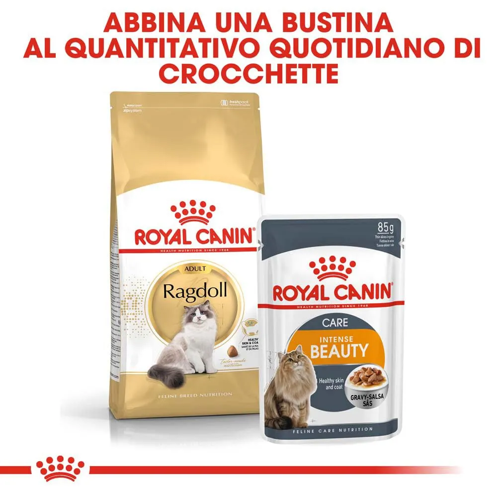 Royal Canin Ragdoll Adult Cibo secco per gatti, 2kg - immagine 6