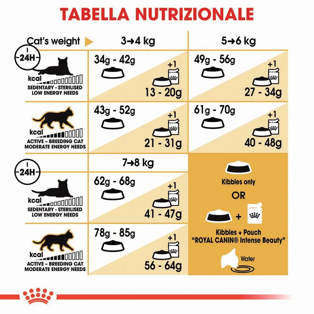 Royal Canin Ragdoll Adult Cibo secco per gatti, 2kg - immagine 7