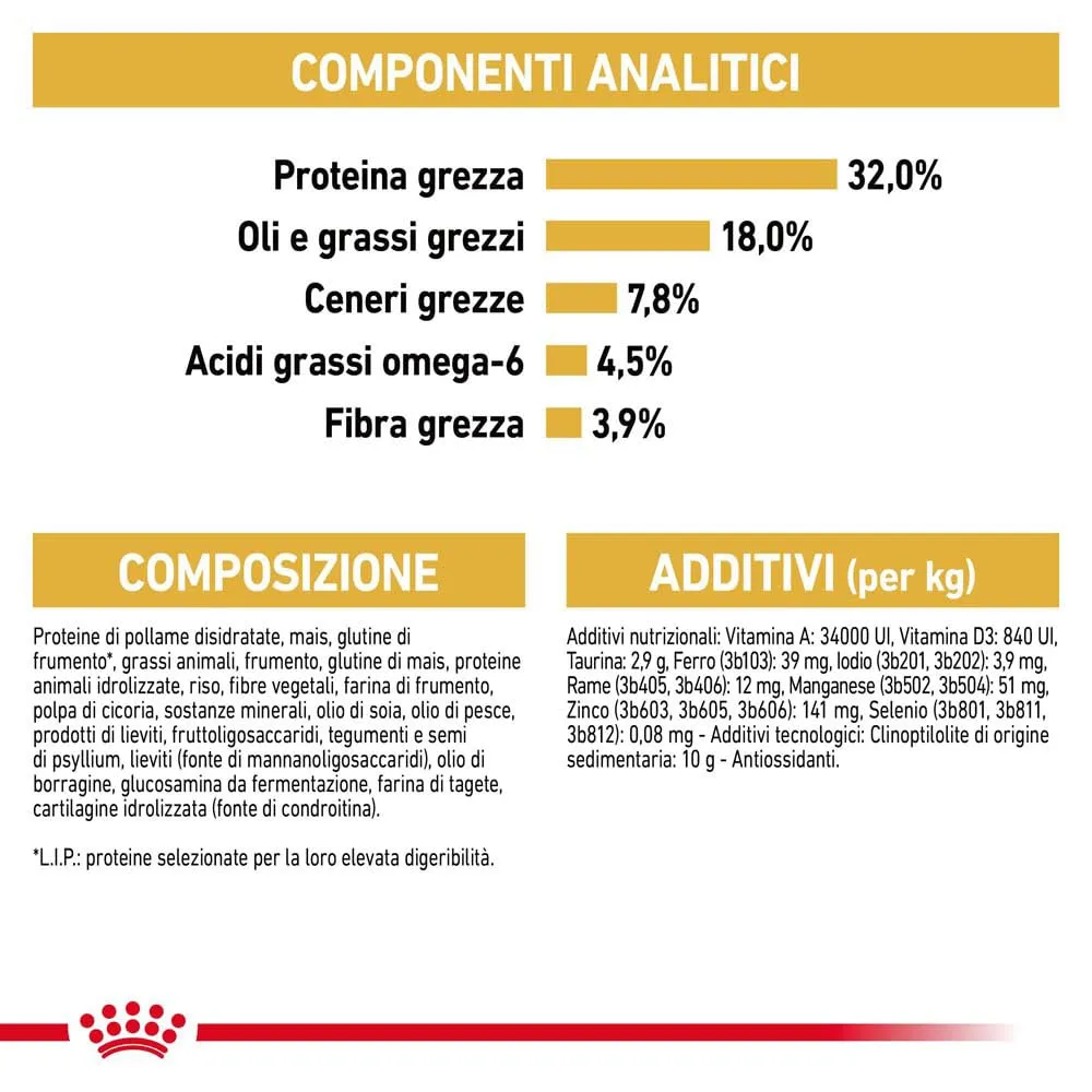 Royal Canin Ragdoll Adult Cibo secco per gatti, 2kg - immagine 8