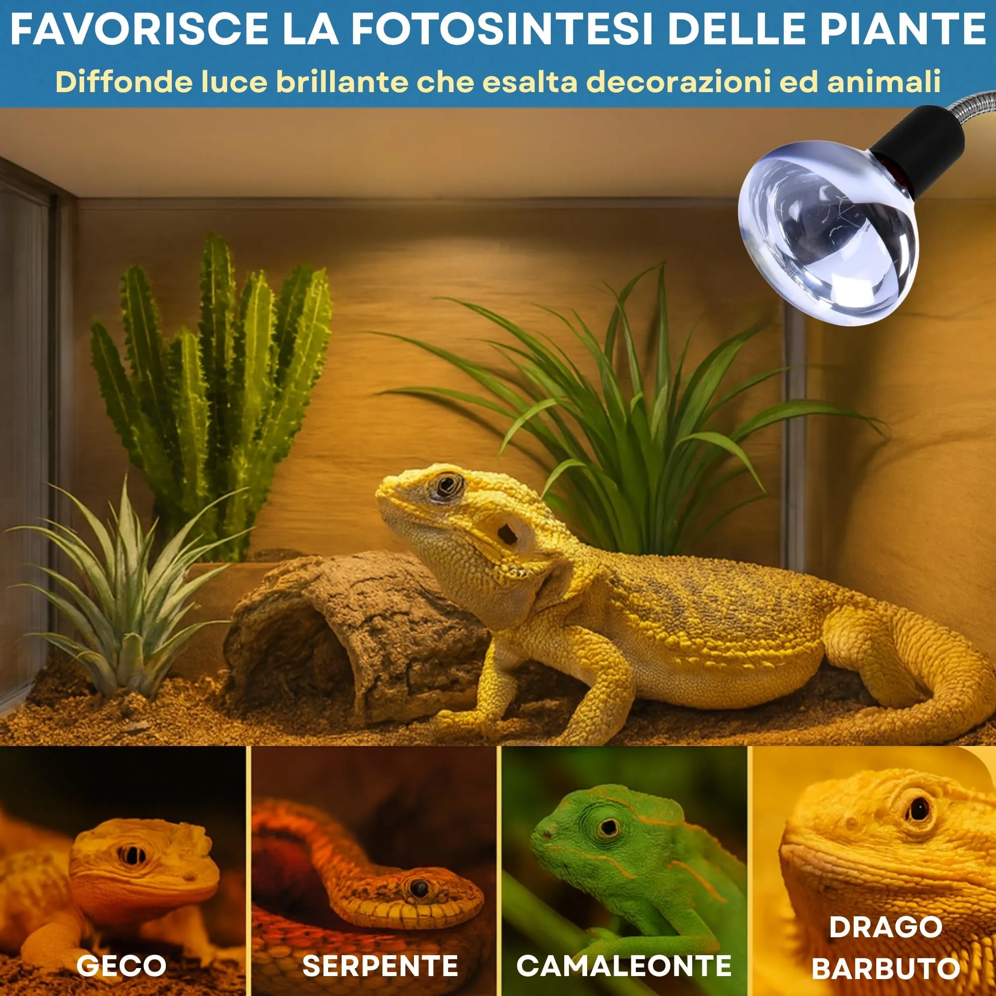 JEKO TRIBE Kit Lampada al Neodimio 75W (2 Pezzi) con Portalampada E27 Dimmerabile e Pinza per Rettili e Piccoli Animali - immagine 5