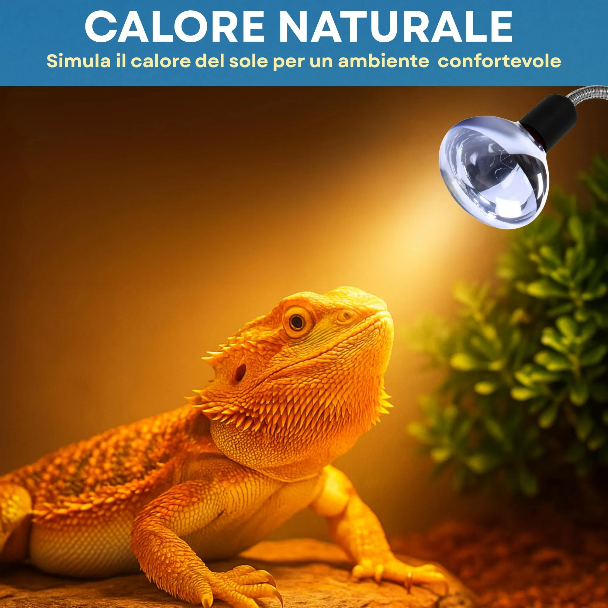 JEKO TRIBE Kit Lampada al Neodimio 75W (2 Pezzi) con Portalampada E27 Dimmerabile e Pinza per Rettili e Piccoli Animali - immagine 6