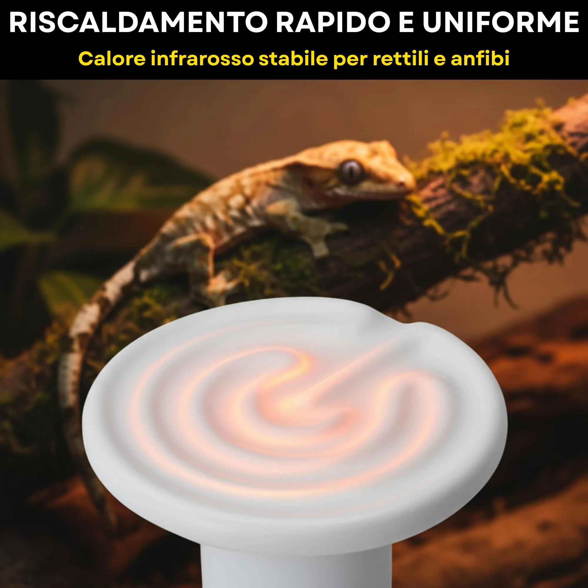 JEKO TRIBE Lampada Riscaldante in Ceramica 75W con Portalampada a Pinza e Interruttore per Terrari - immagine 5