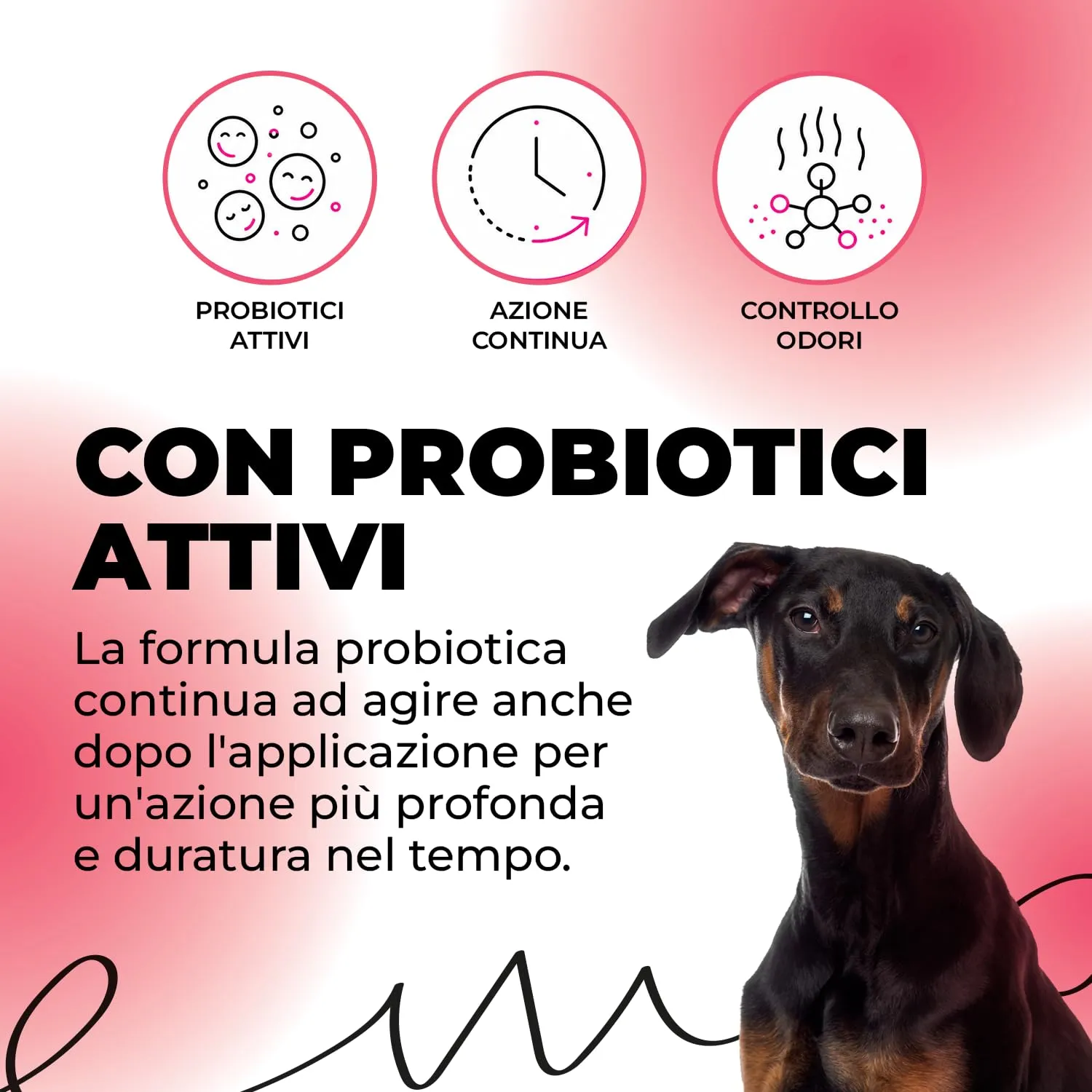 ERRECHOME Oopsy Detergente Urina Cane e Gatto per Tessuti e Superfici 1L - immagine 4