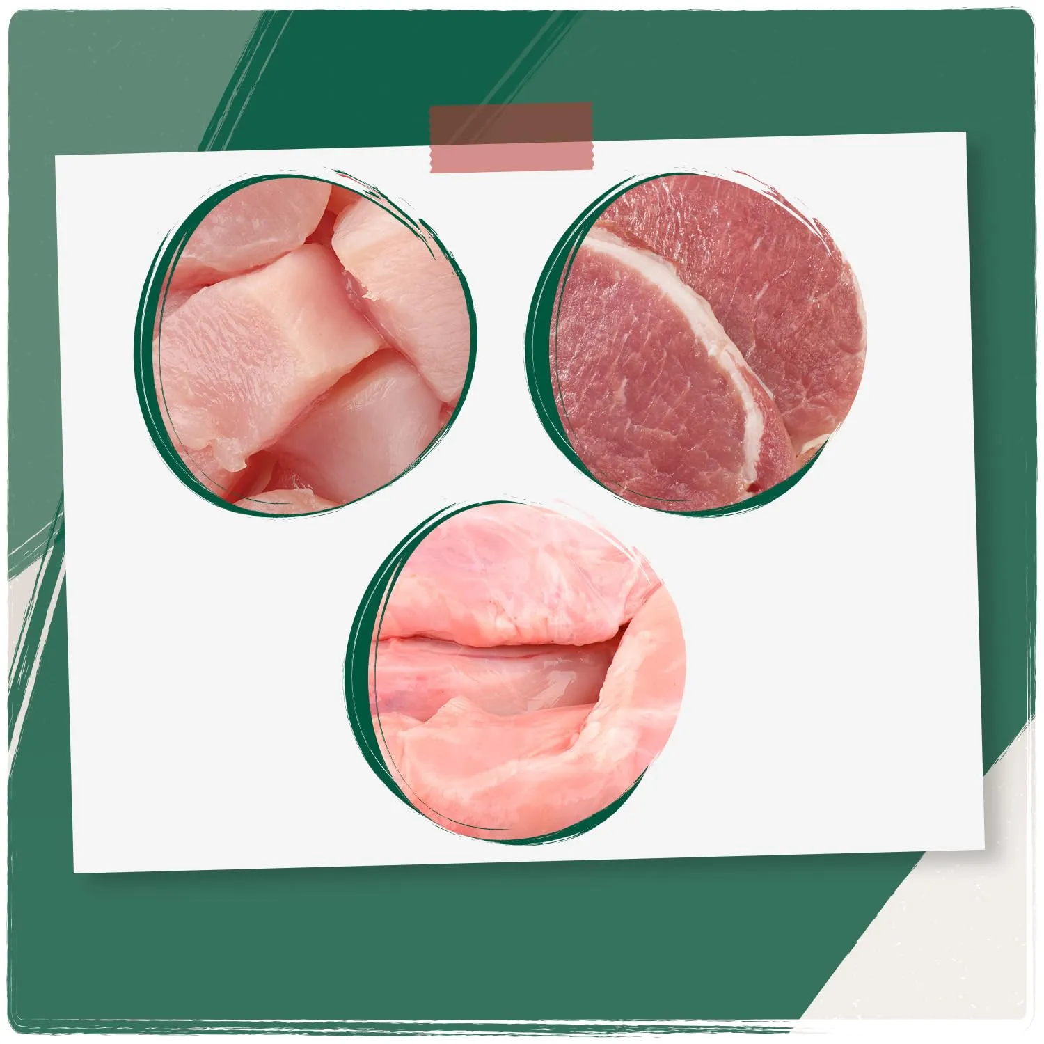 VenandiAnimal Alimento Umido per Gatti Senza Cereali, Pollo, Tacchino e Manzo, 6 x 400 g - immagine 3