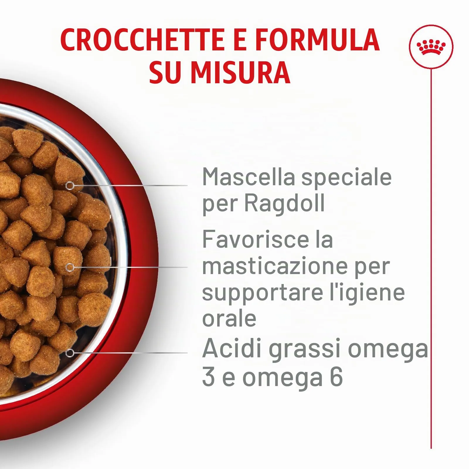 Royal Canin Ragdoll Adult 400 g - immagine 3