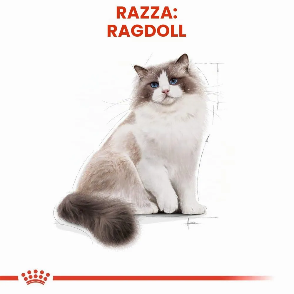 Royal Canin Cibo Secco per Gatti Adulti Ragdoll - 10 kg - immagine 3