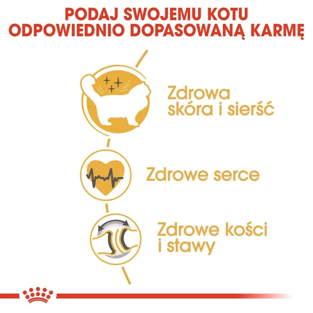 Royal Canin Cibo Secco per Gatti Adulti Ragdoll - 10 kg - immagine 5