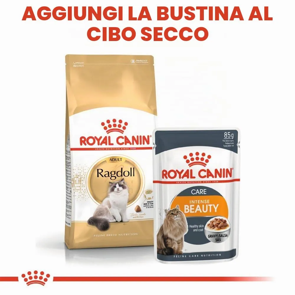 Royal Canin Cibo Secco per Gatti Adulti Ragdoll - 10 kg - immagine 8