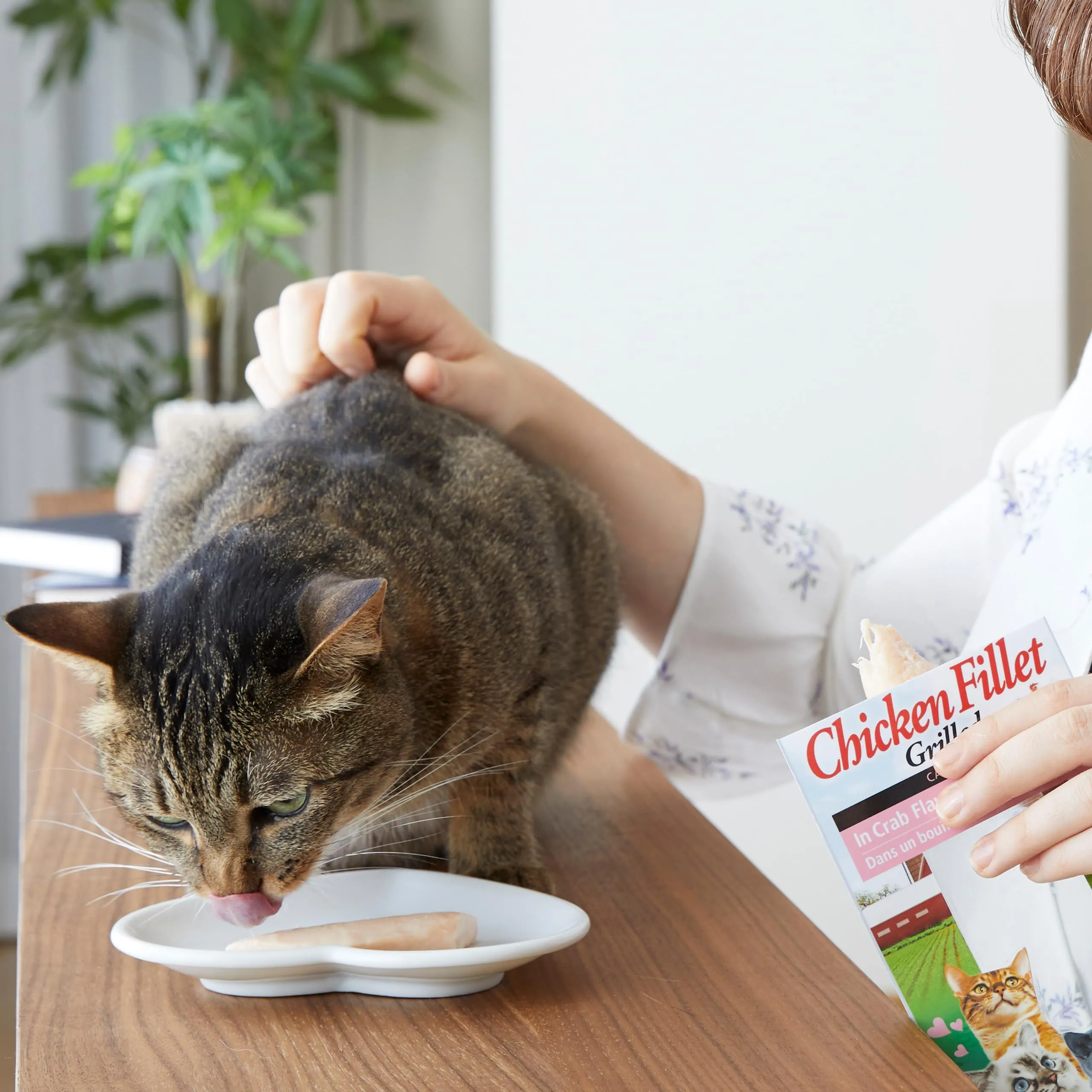 INABA Filetti di Pollo Grigliato per Gatti in Brodo al Gusto di Granchio, 15g - immagine 5