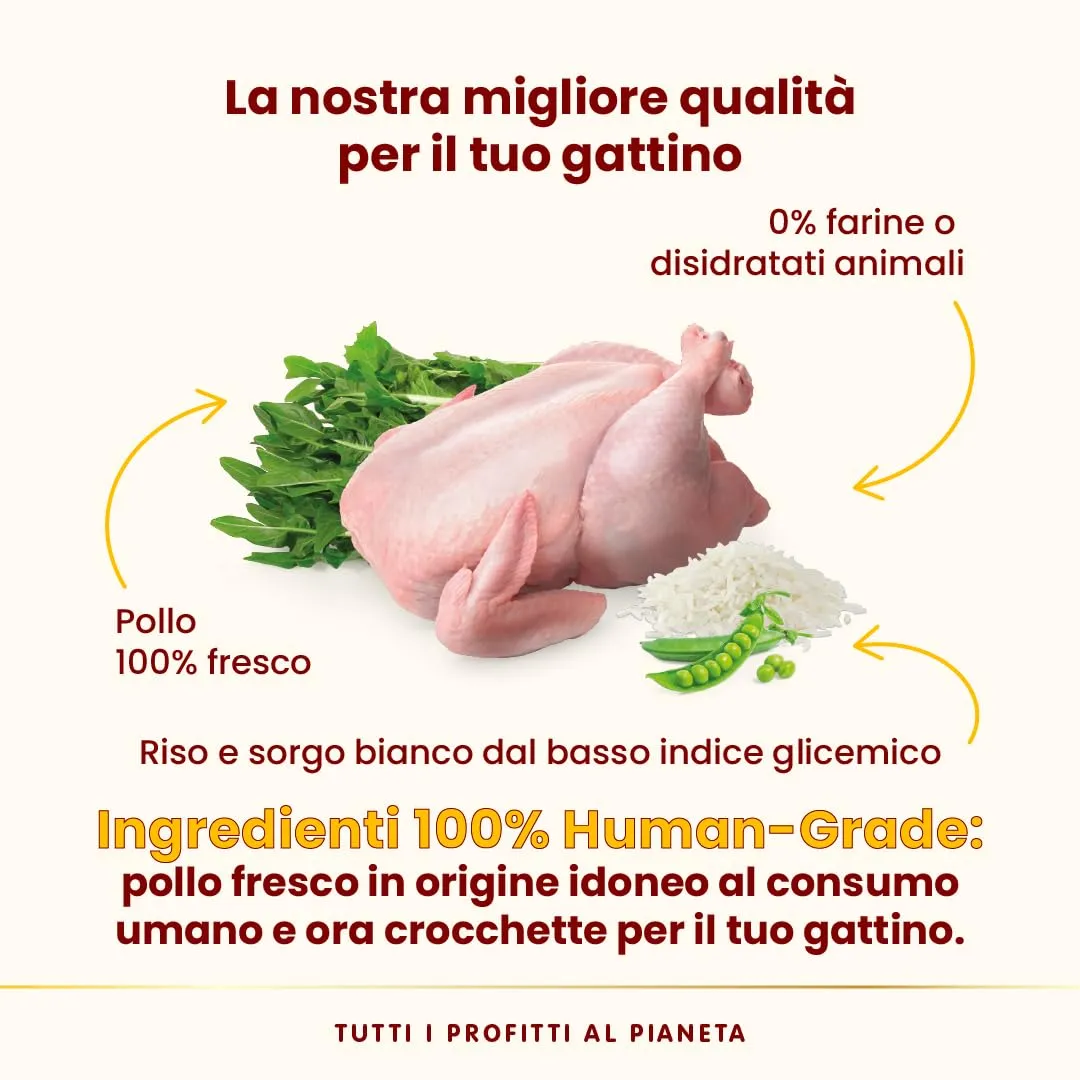 Almo Nature HFC Our Best Kitten Croccantini per Gattini Pollo Fresco Monoproteico Senza Glutine 300g - immagine 4