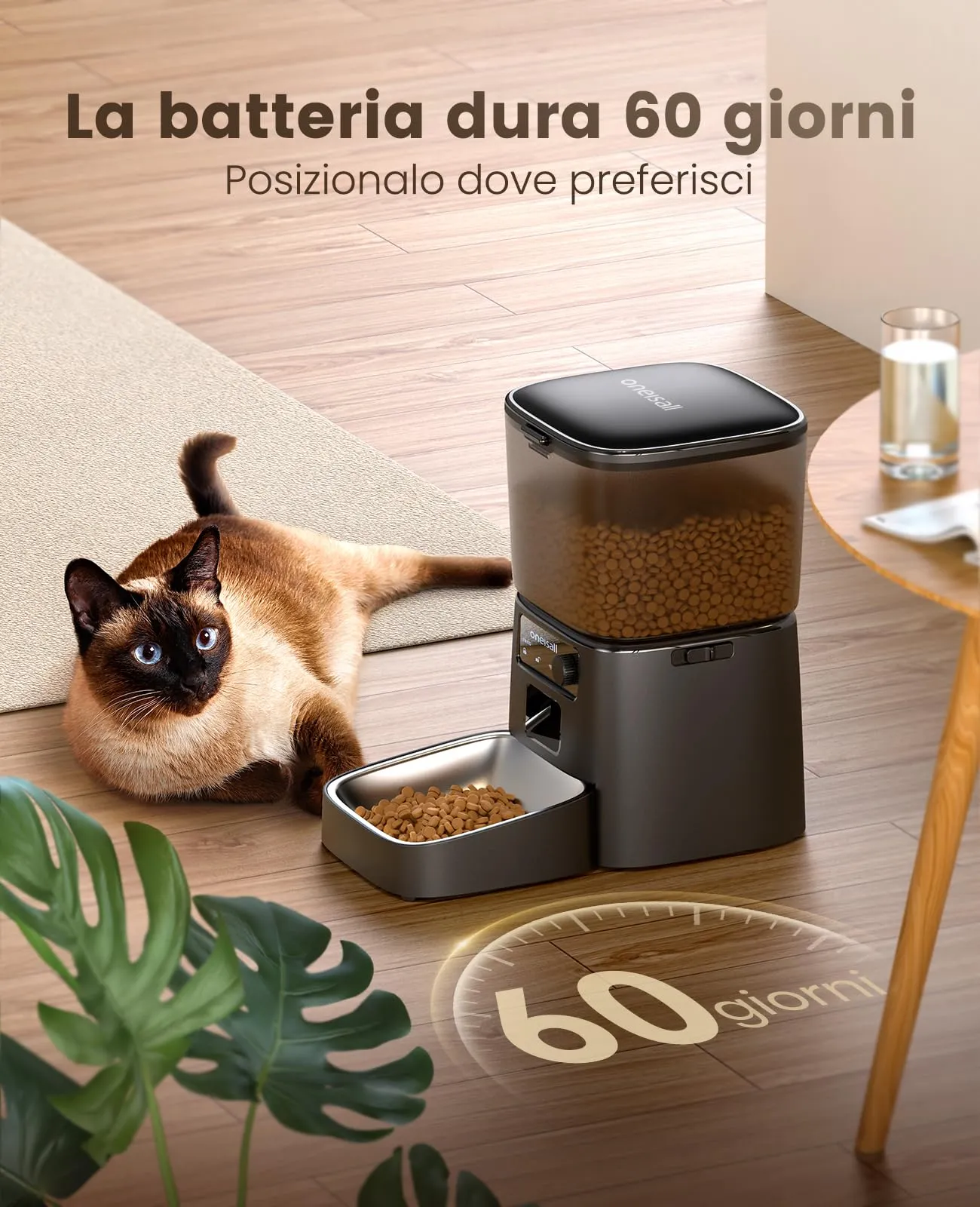 oneisall Alimentatore Automatico per Gatti 3.5L con Controllo APP - immagine 6