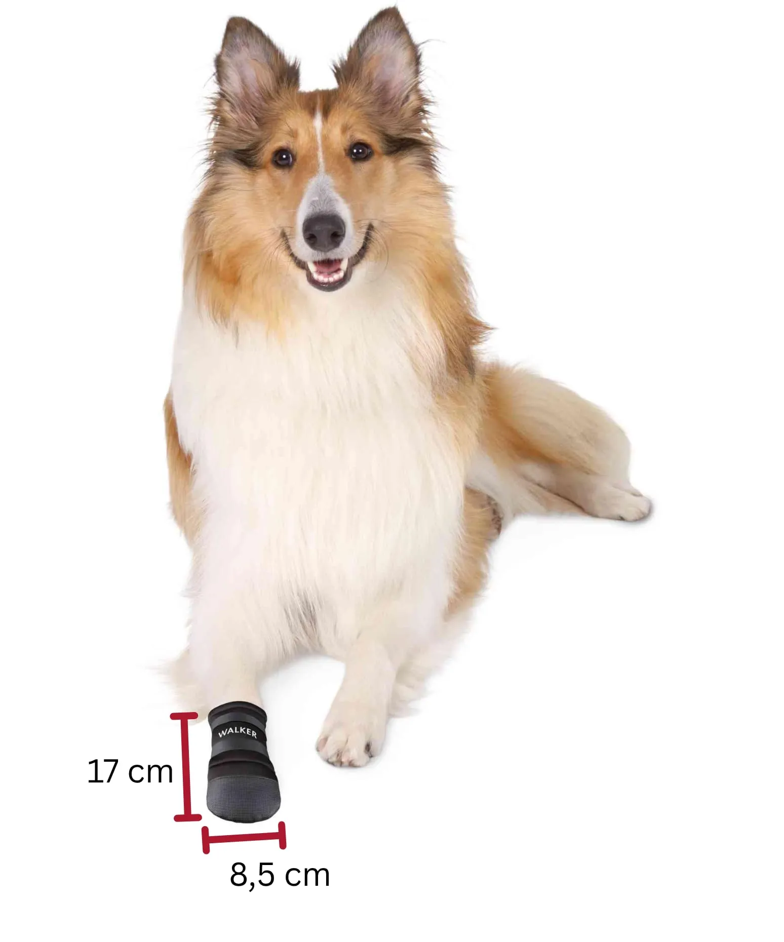 Trixie Walker Care Paw Protection, Large, Black - immagine 3