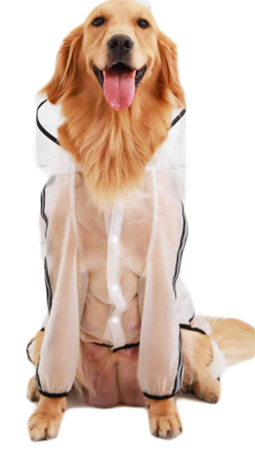 feiling Cappotto Impermeabile Trasparente per Cani, Poncho Antipioggia a 4 Gambe (XL) - immagine 3