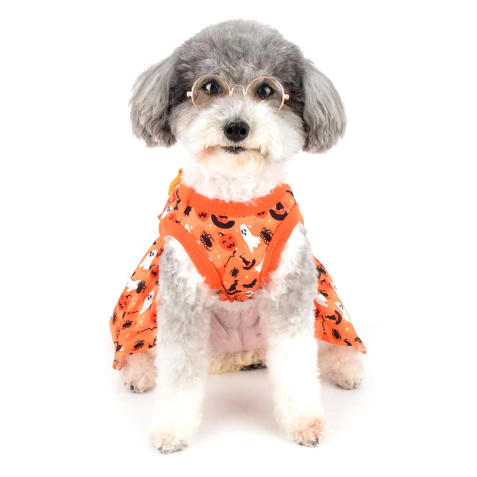Zunea Costumi di Halloween per Cani di Piccola Taglia e Gatti, Vestito con Gonna Morbida e Stampa a Tema Halloween - immagine 7