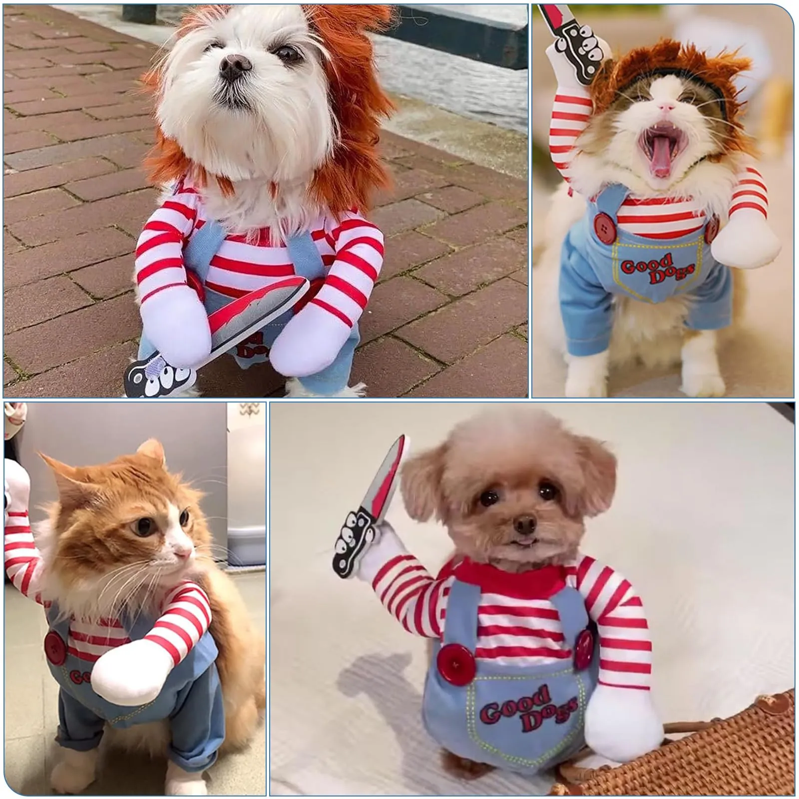 ChAusa Halloween Costume for Dogs, Size S - immagine 4